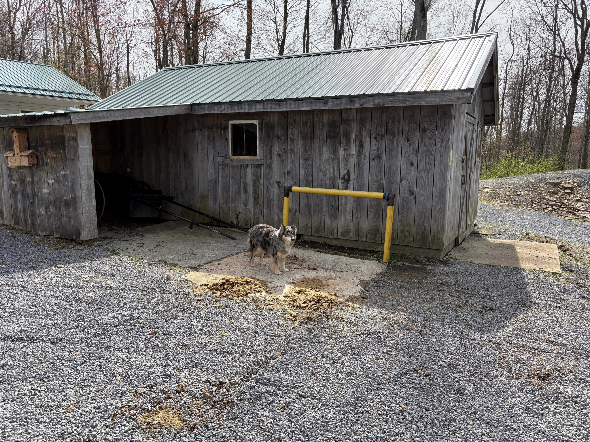 Country Living
