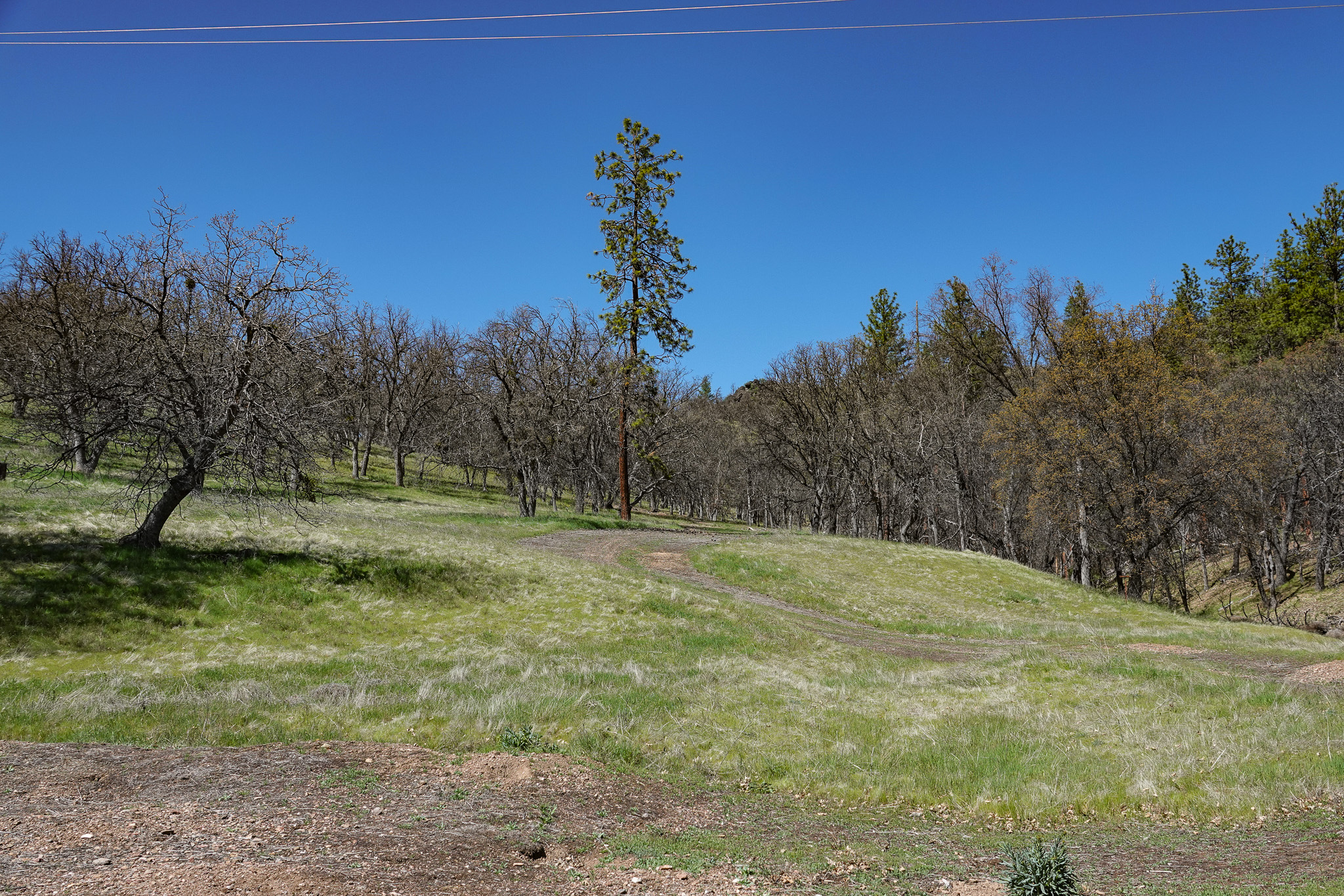 Kraus and Sons Ranch