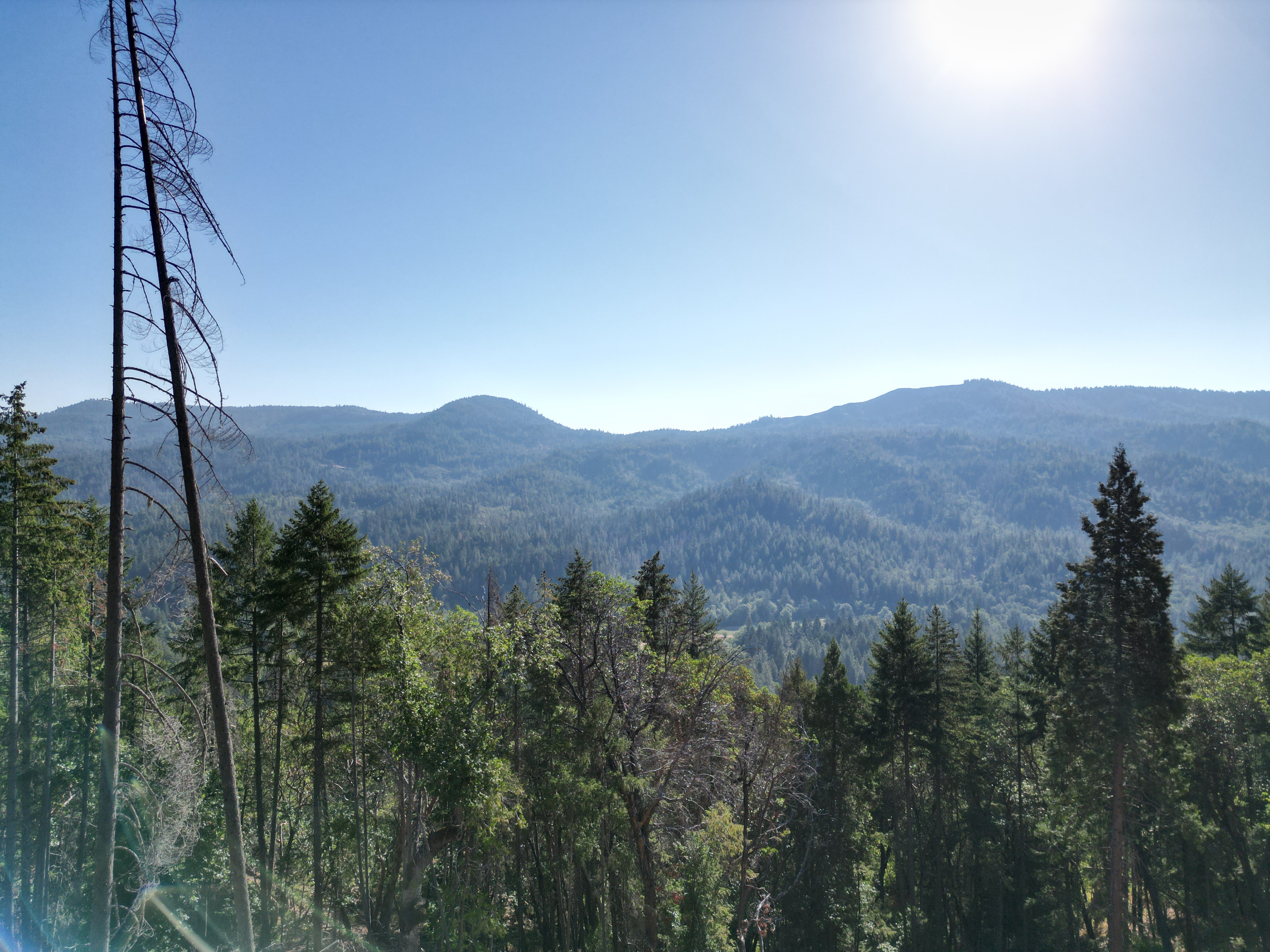 471 AC-E Evans Creek Rd