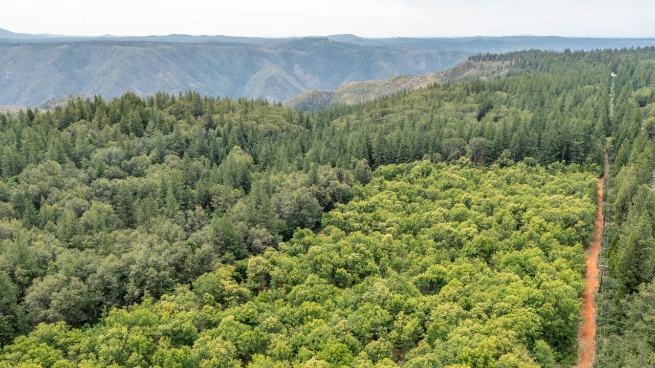 Foresthill Divide