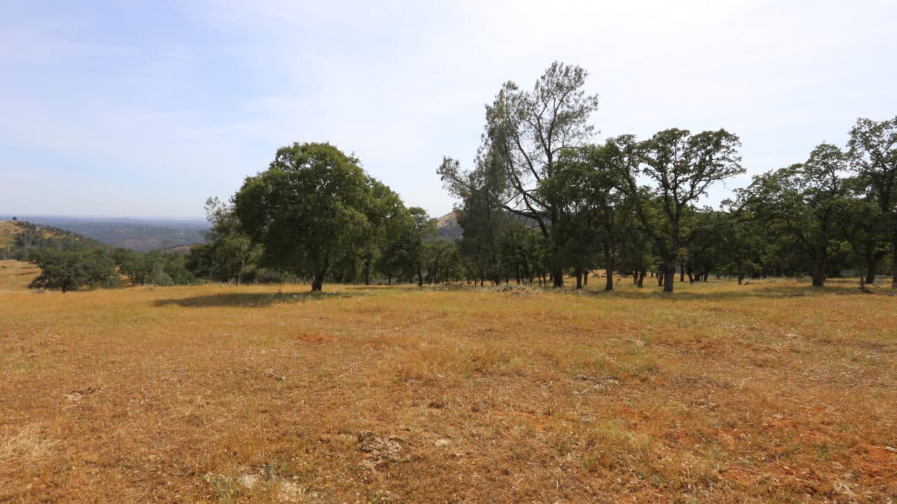 Listing Image 69
