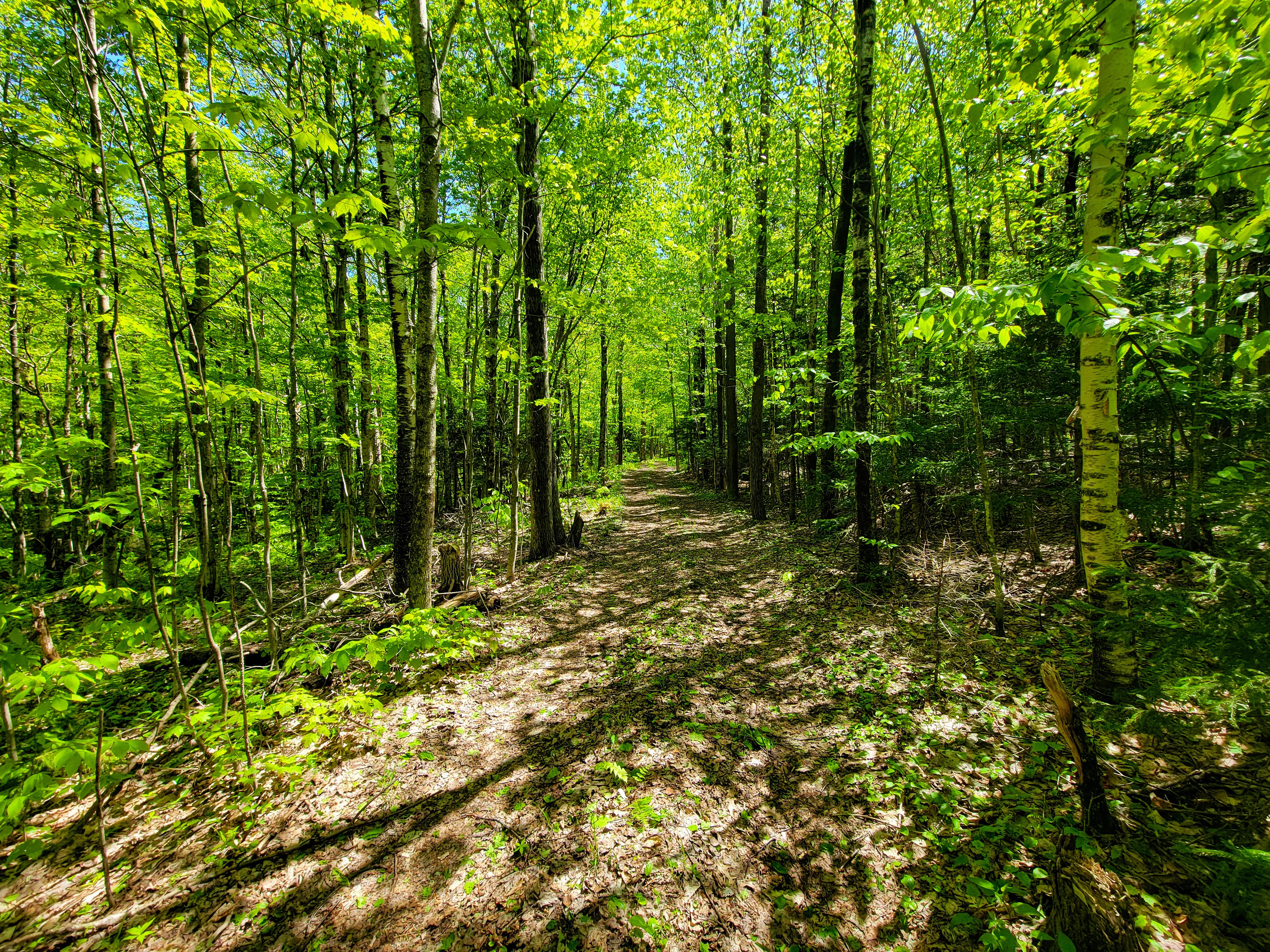 925 Hathaway Rd - Goshen