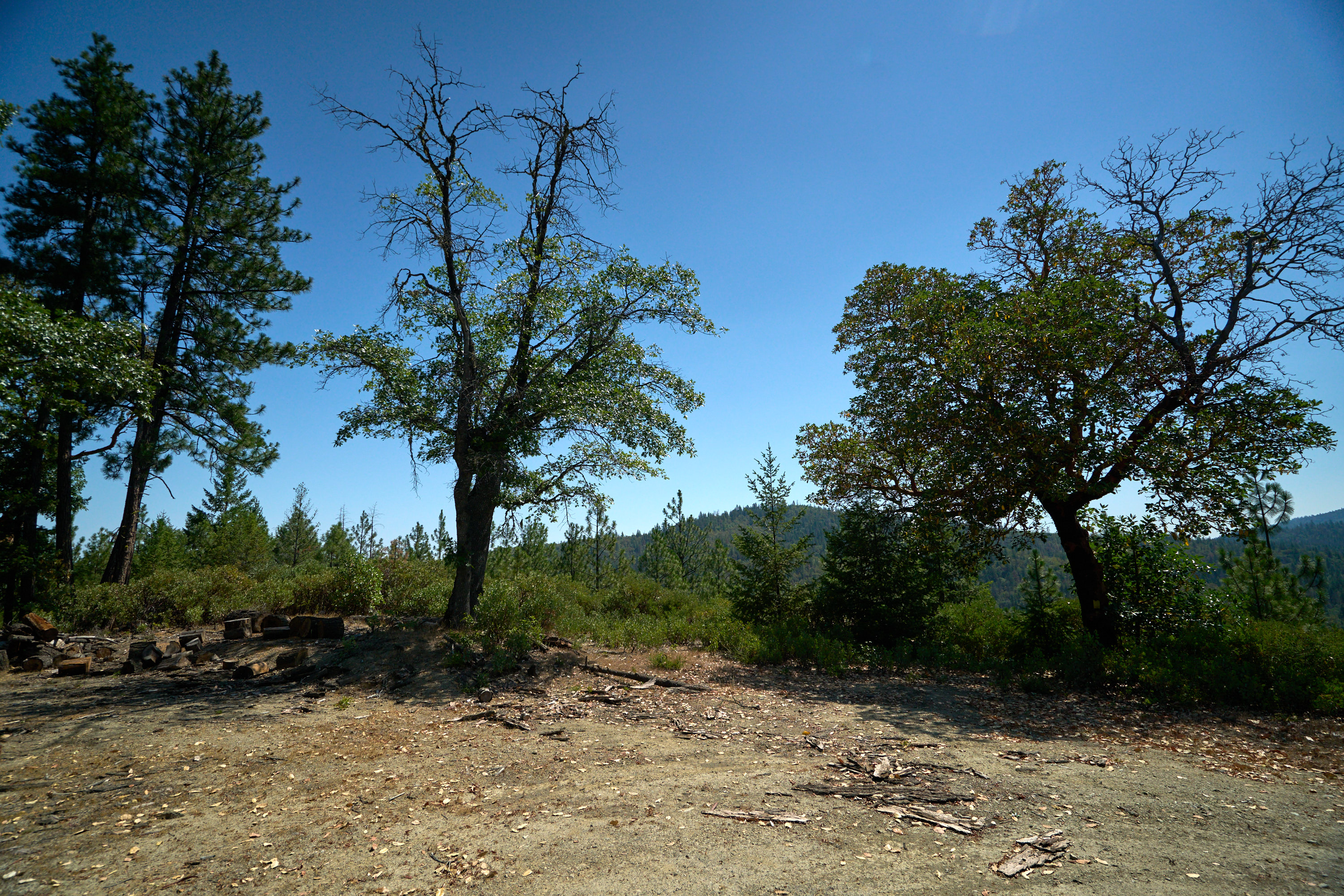 2527 Sterling Creek Road