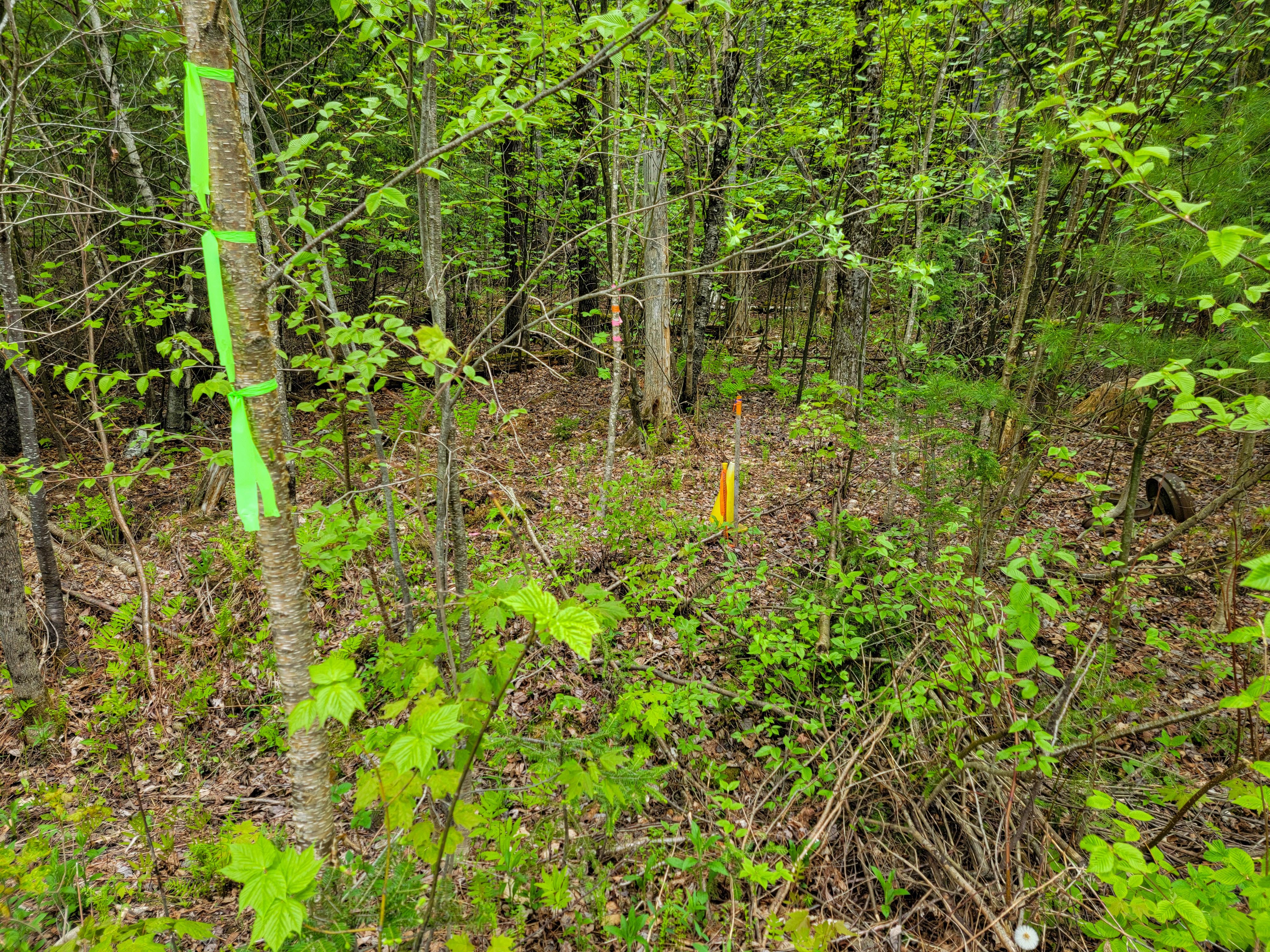 Listing Image 26