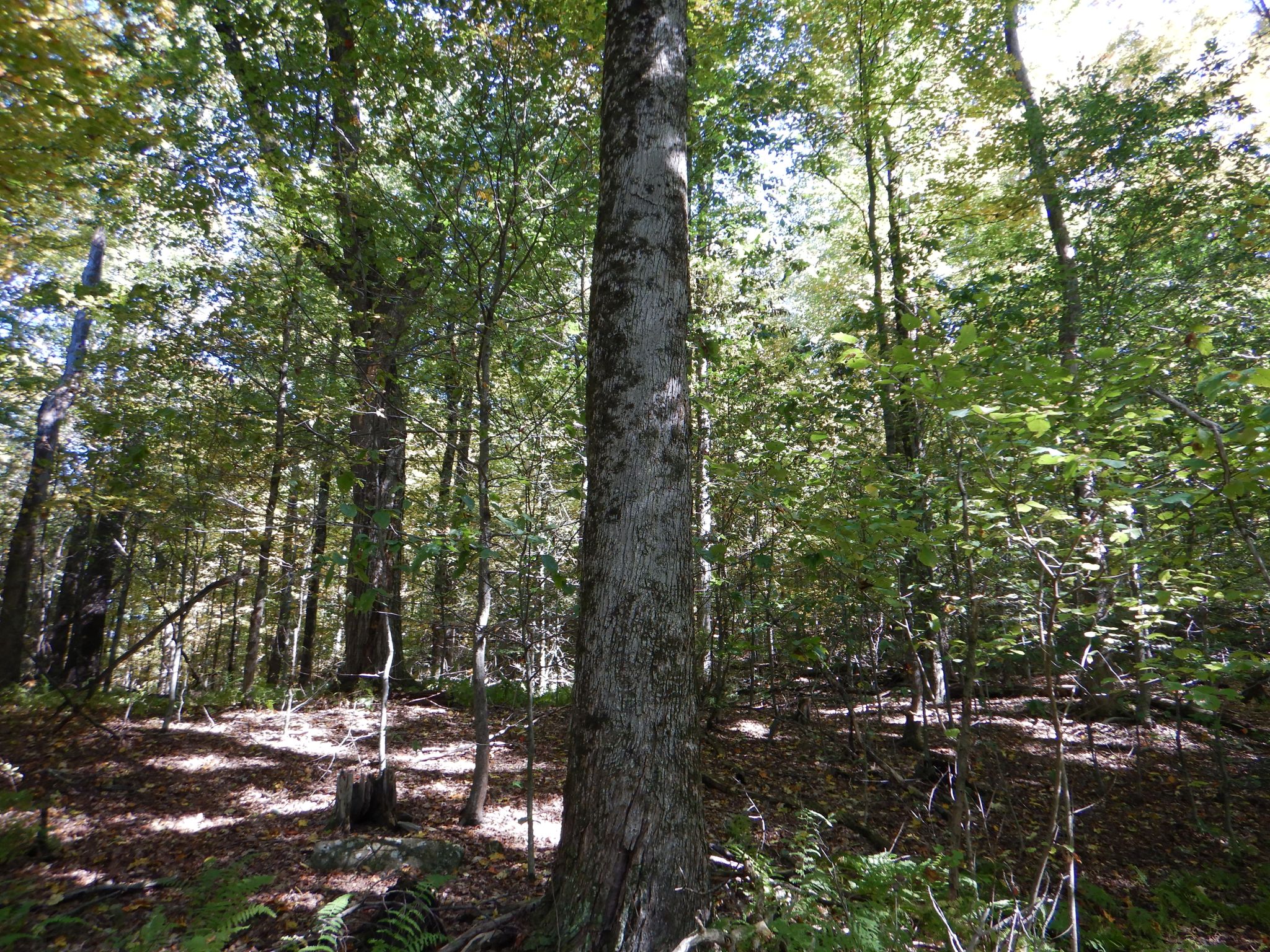 Listing Image 30