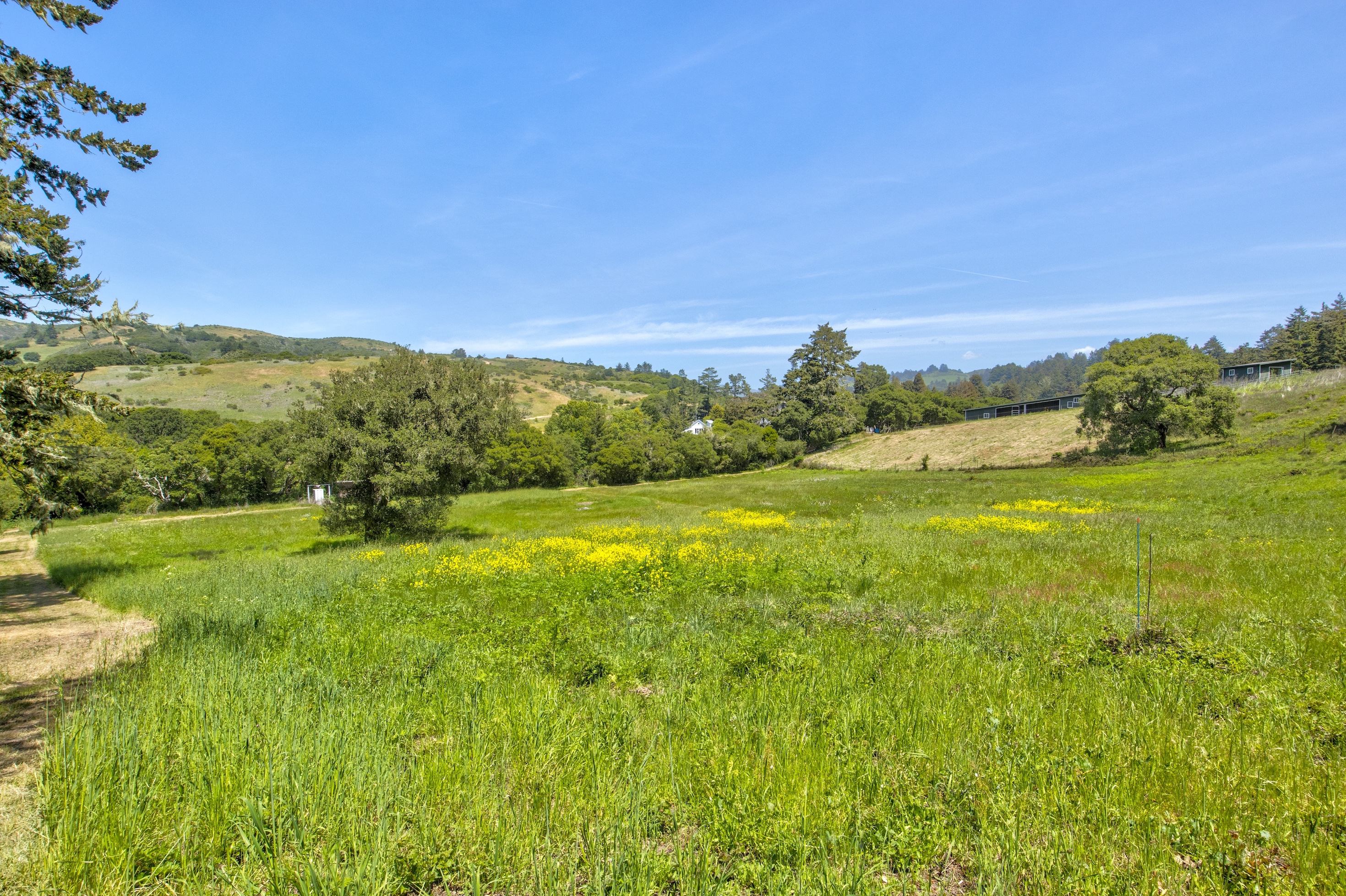 San Gregorio Creekside Farm