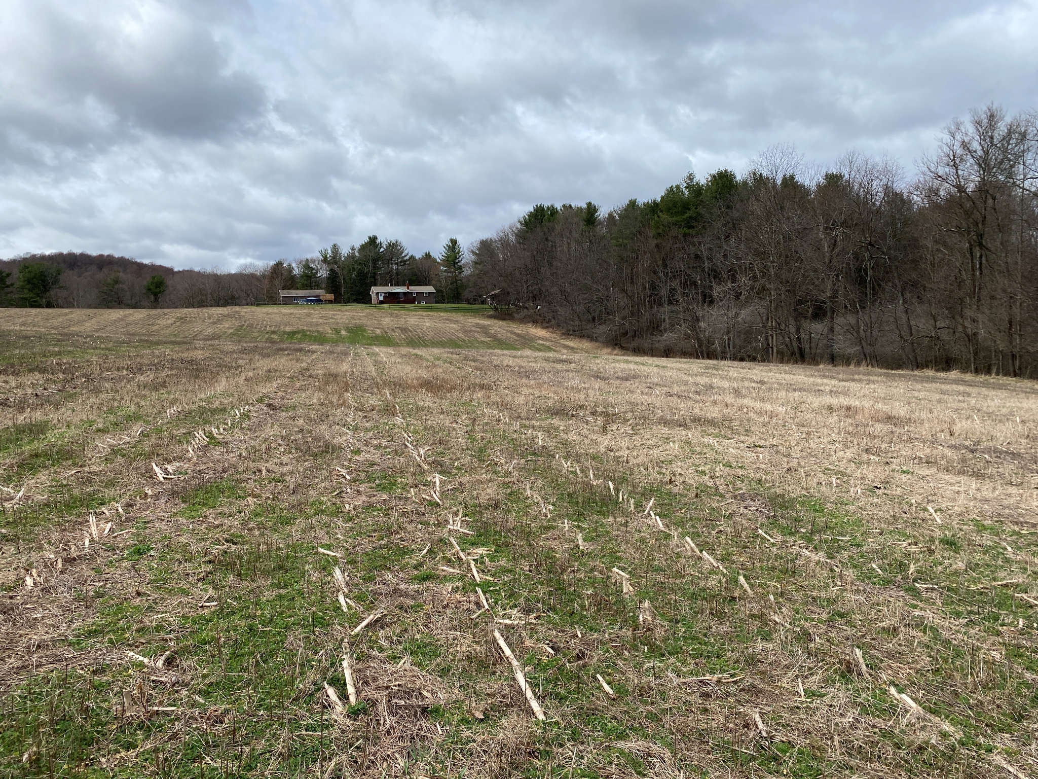 Mark's Meadow