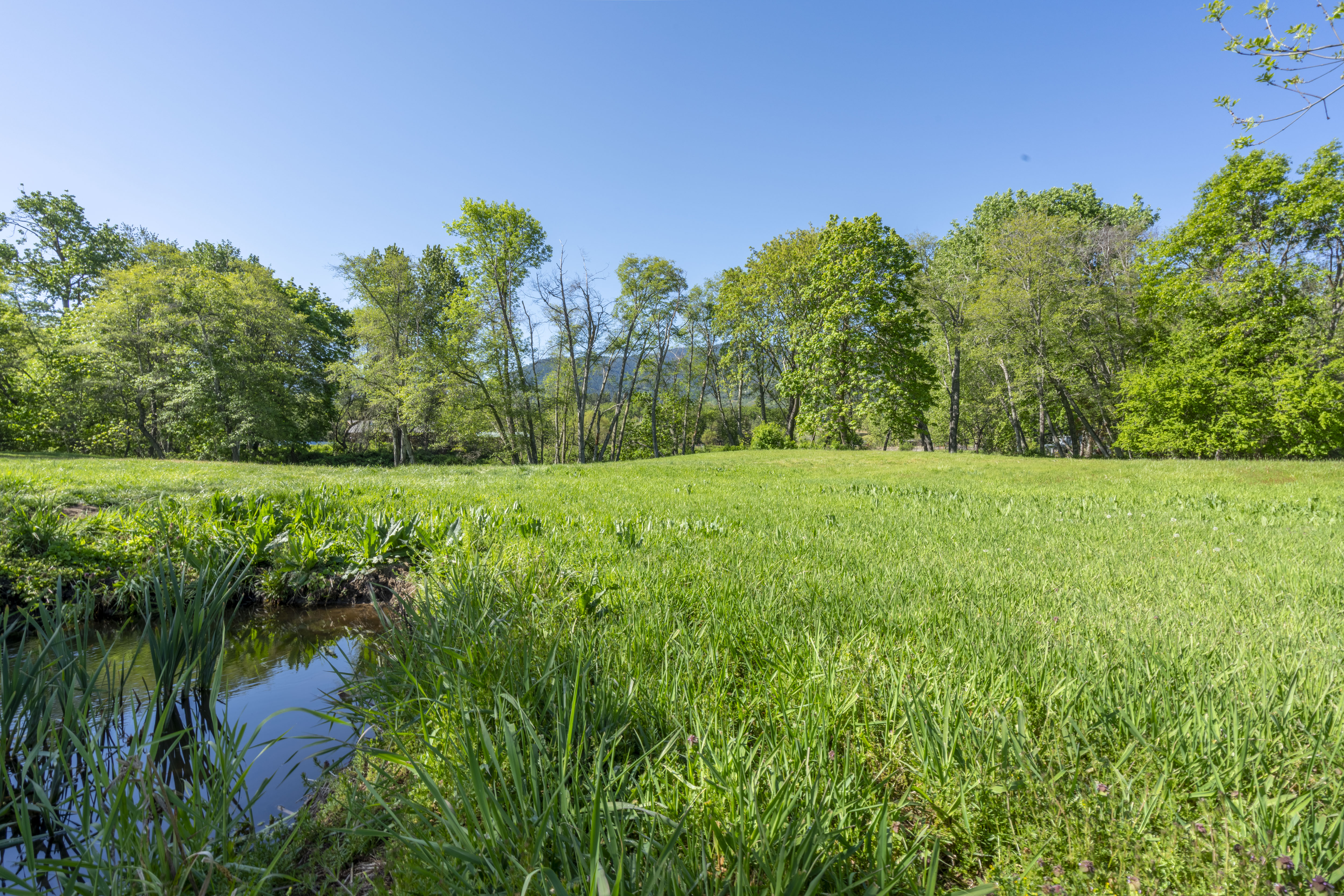 Listing Image 55