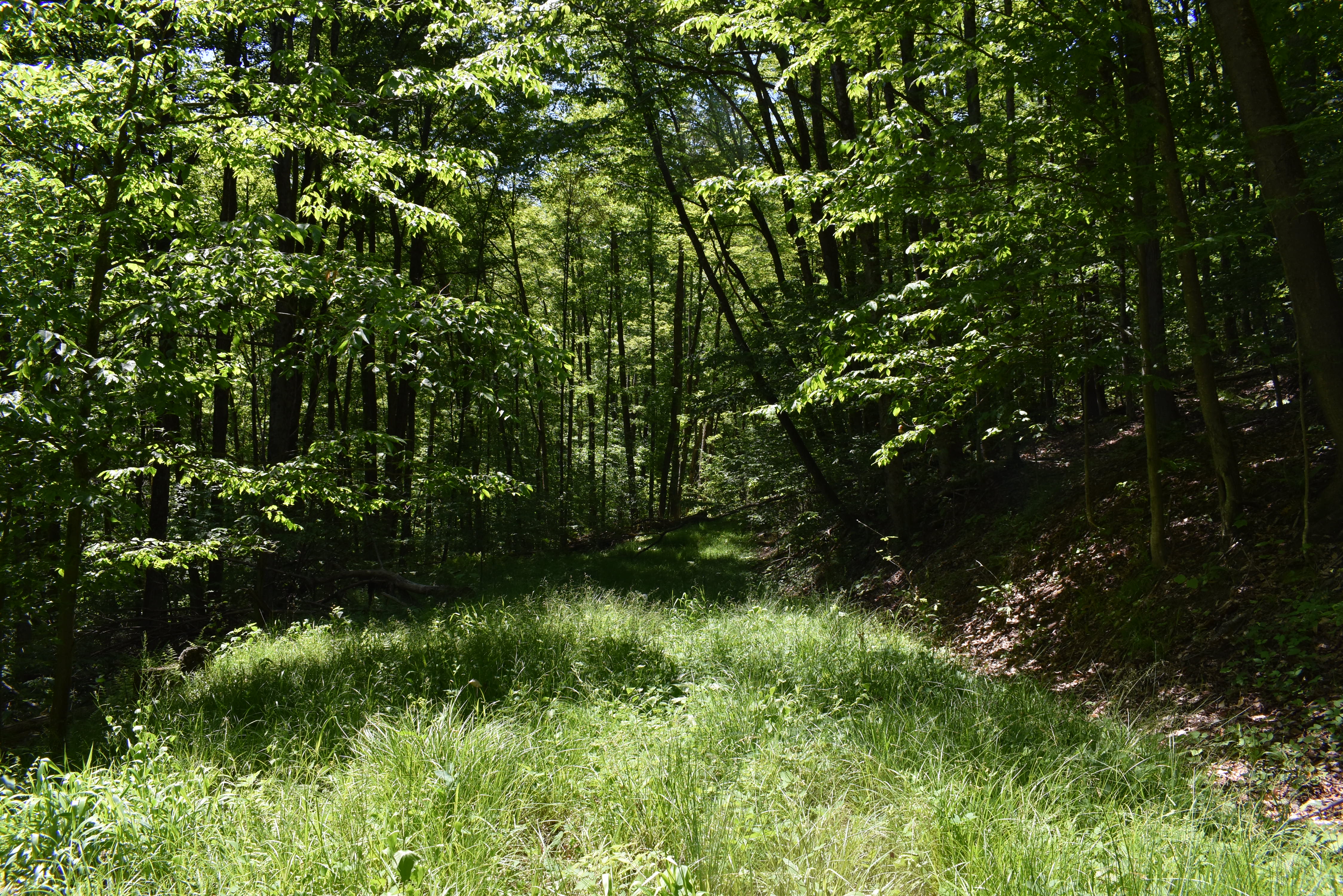 Listing Image 43