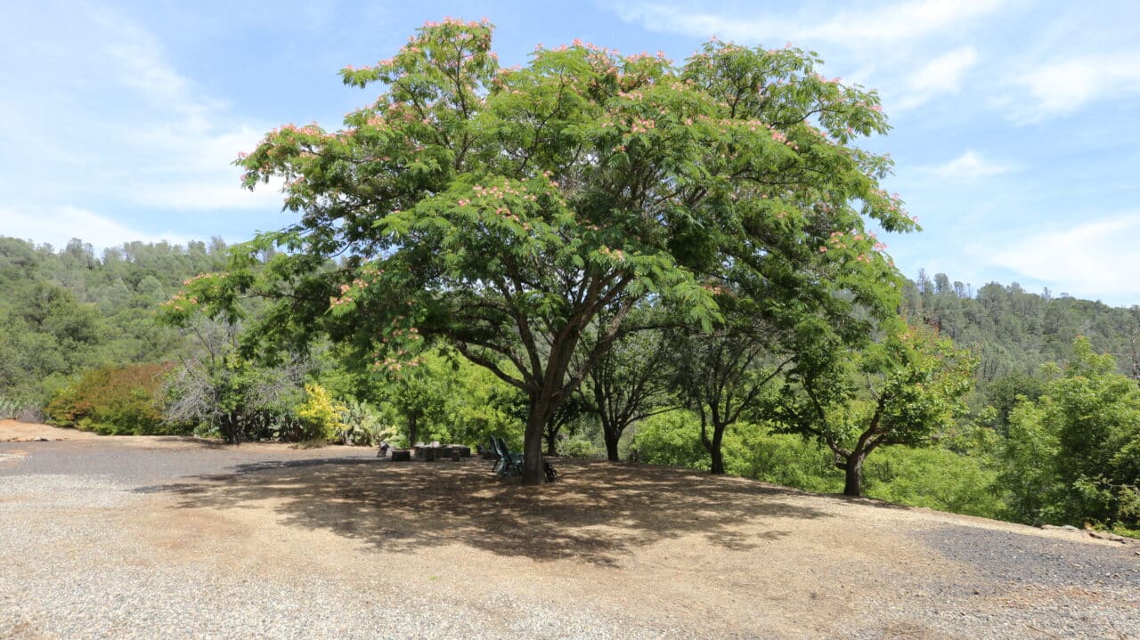 Listing Image 55