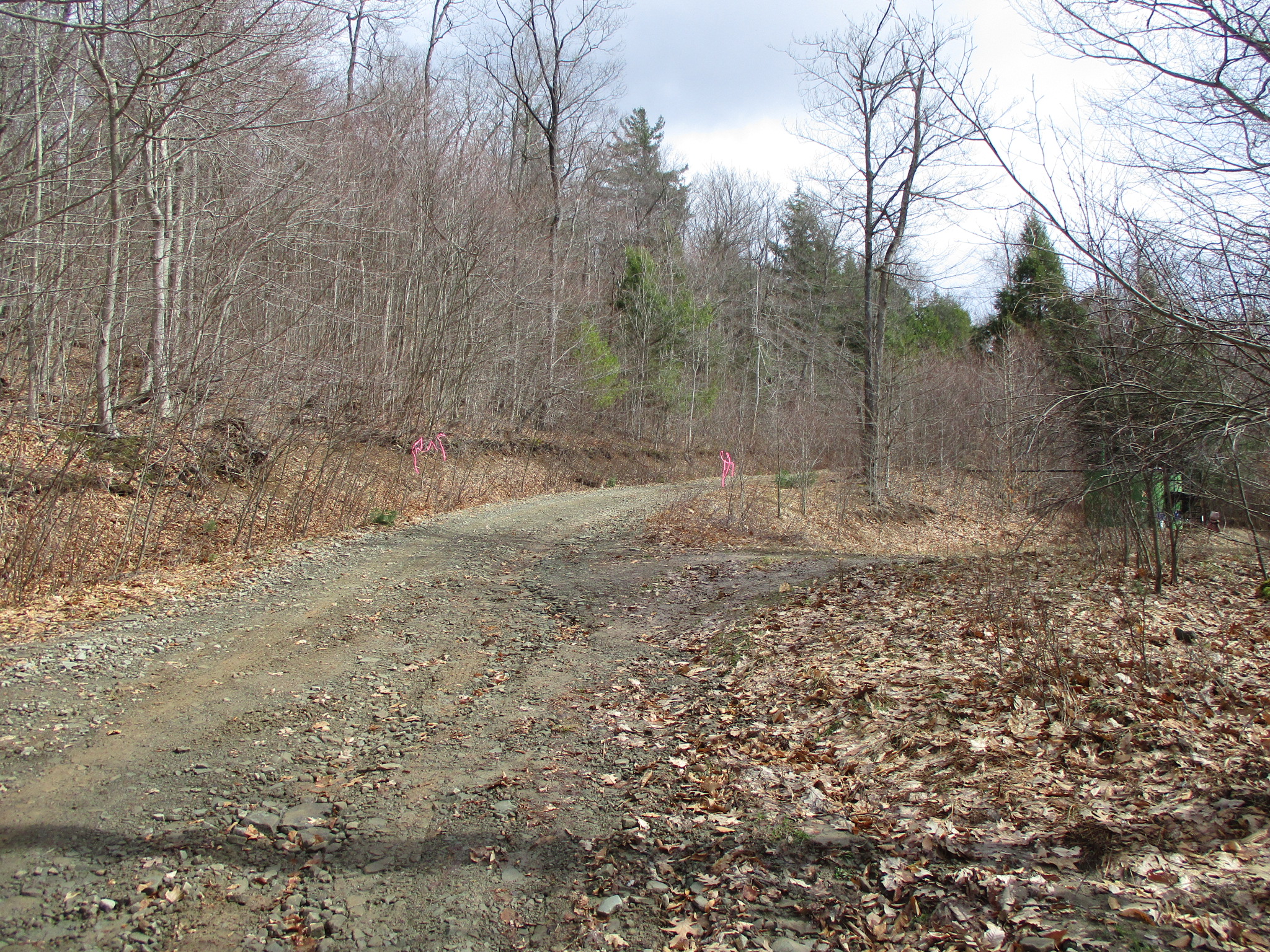 Listing Image 34