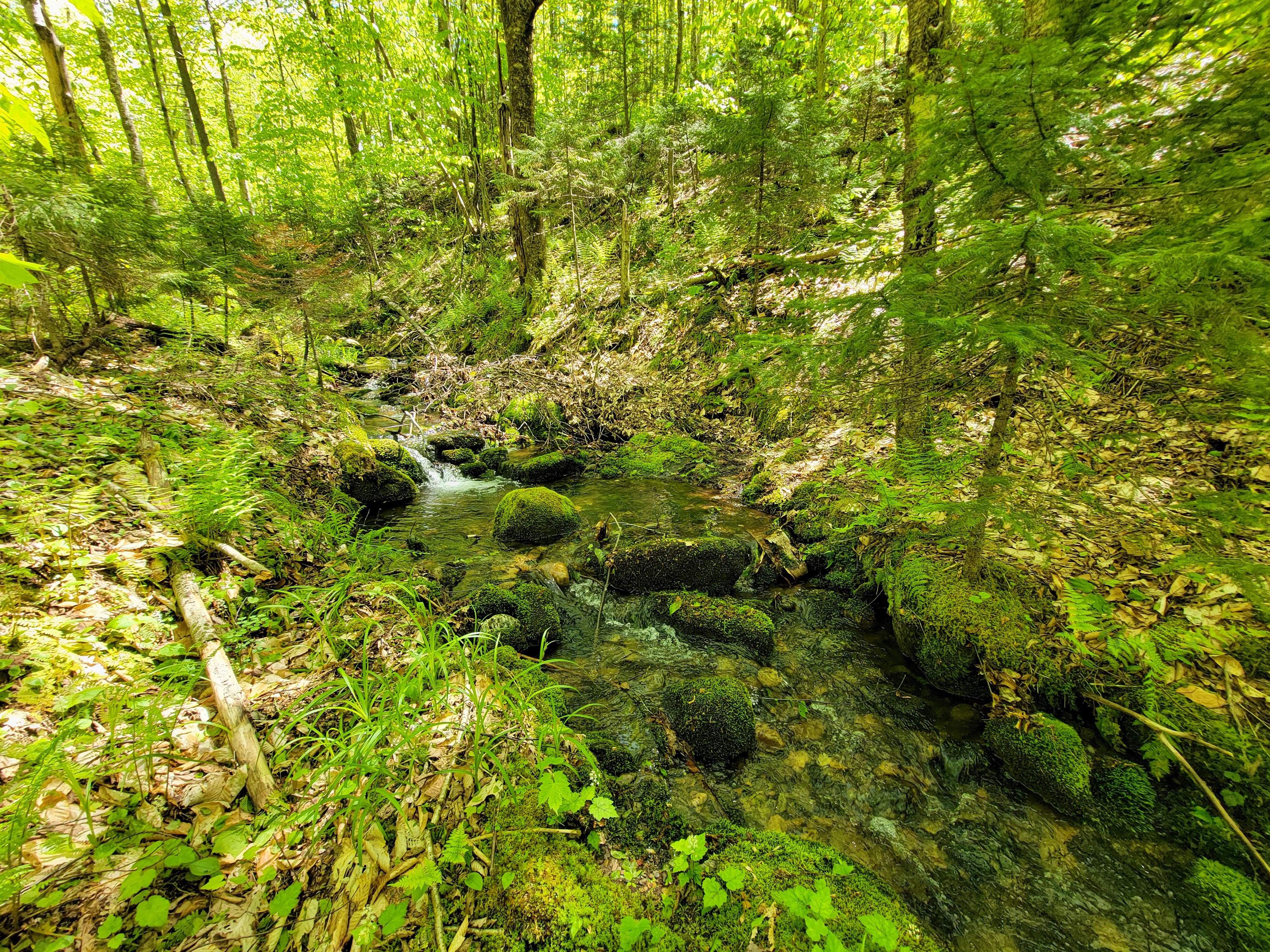925 Hathaway Rd - Goshen