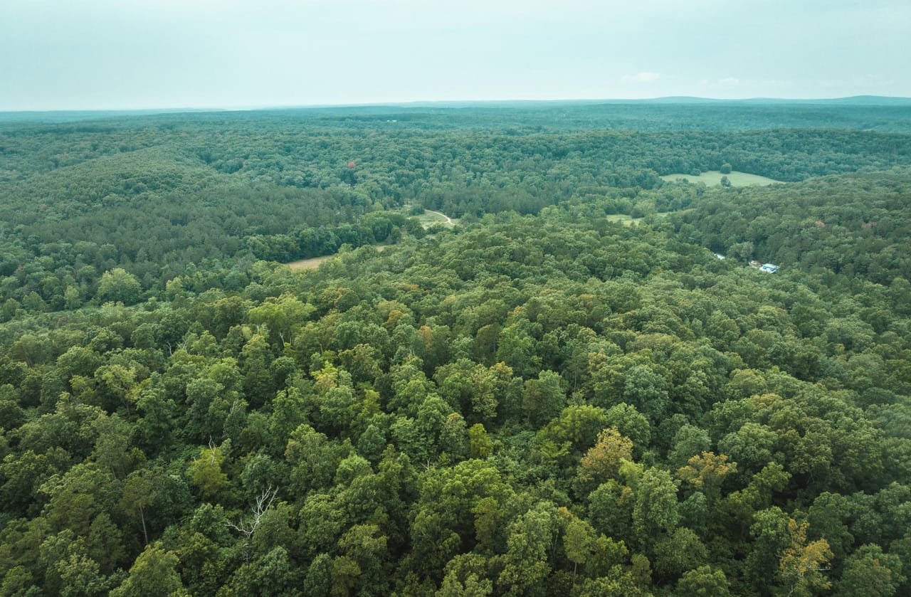 Listing Image 21