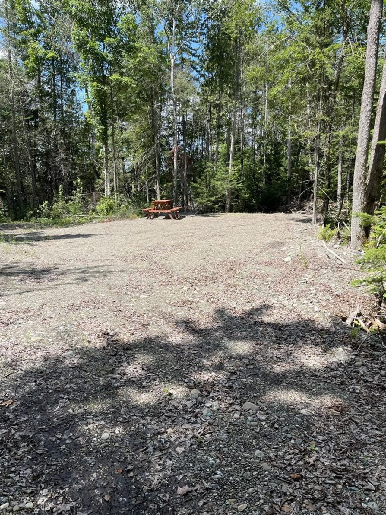 Listing Image 38