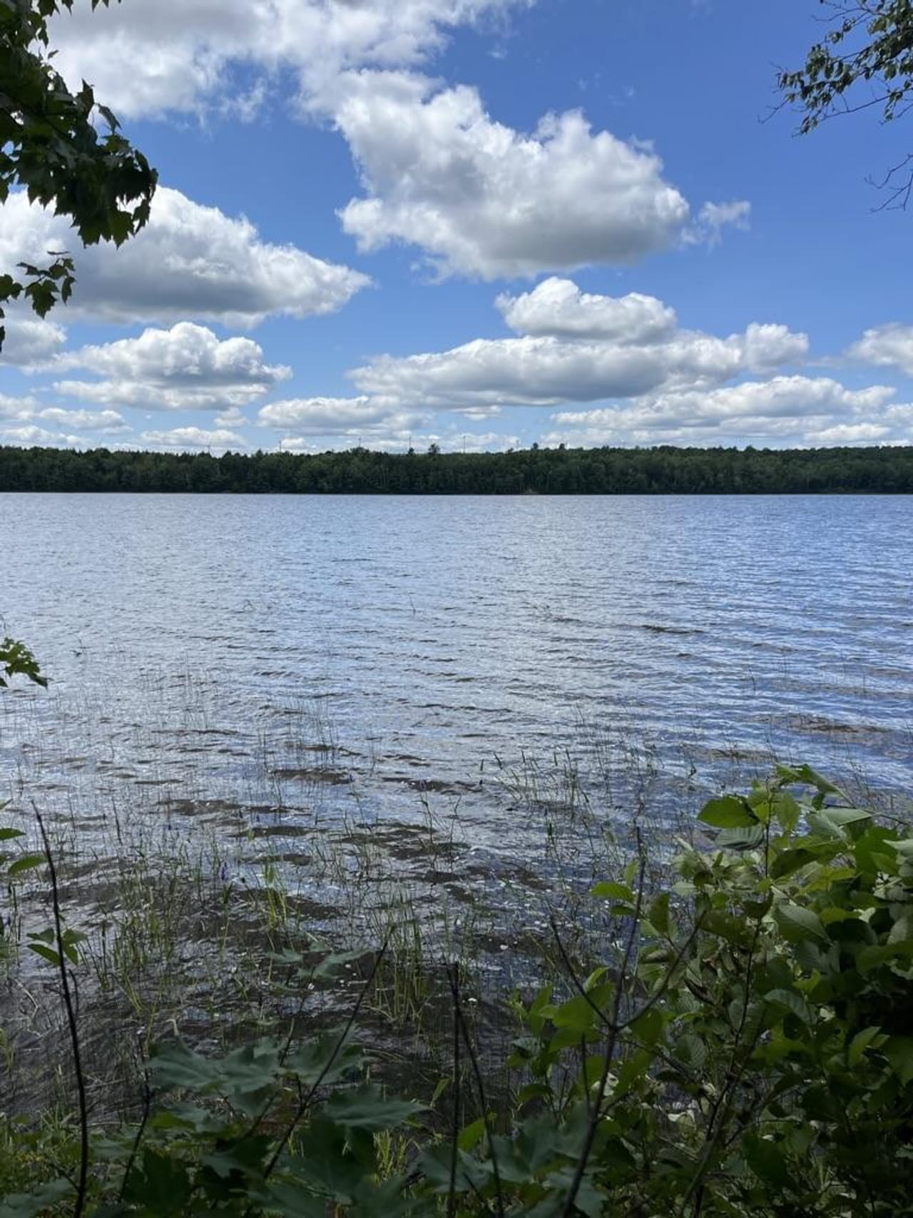 Listing Image 42