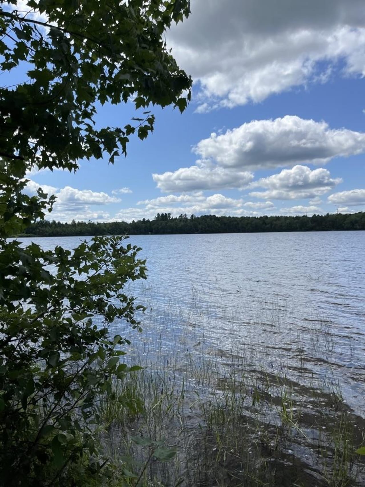 Listing Image 43