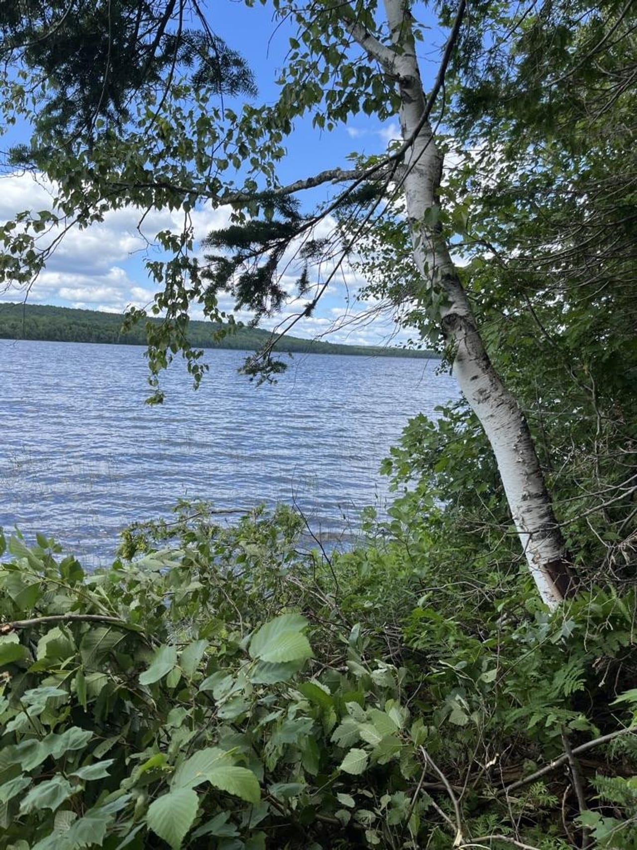 Listing Image 45
