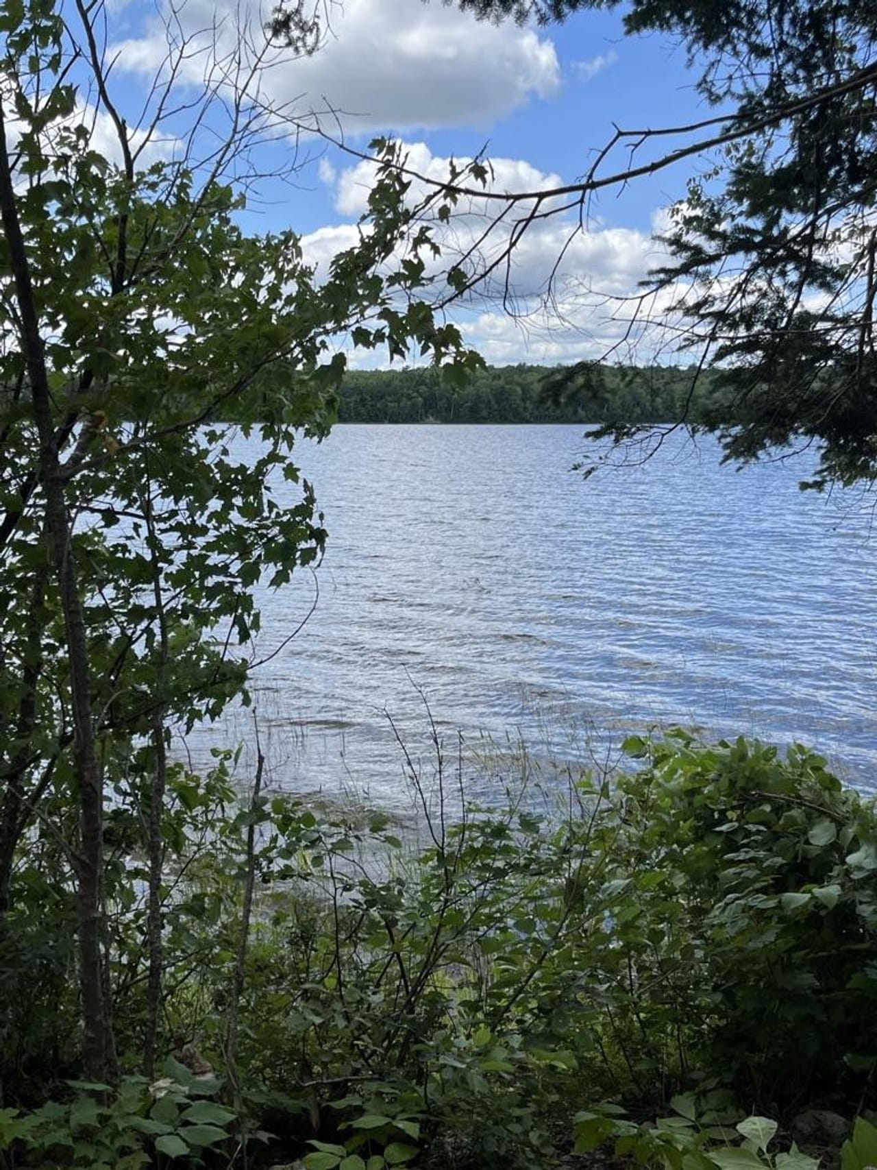 Listing Image 48