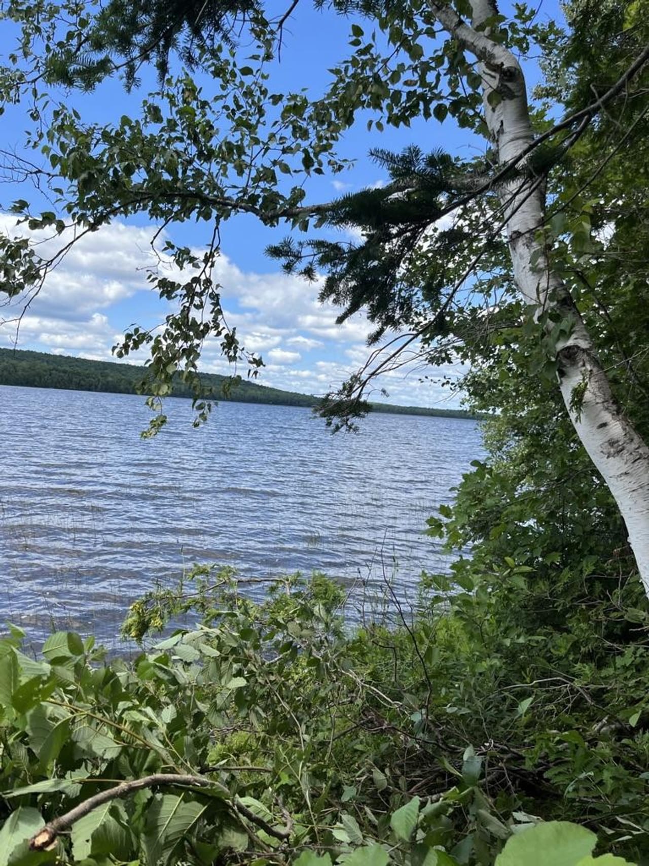 Listing Image 24