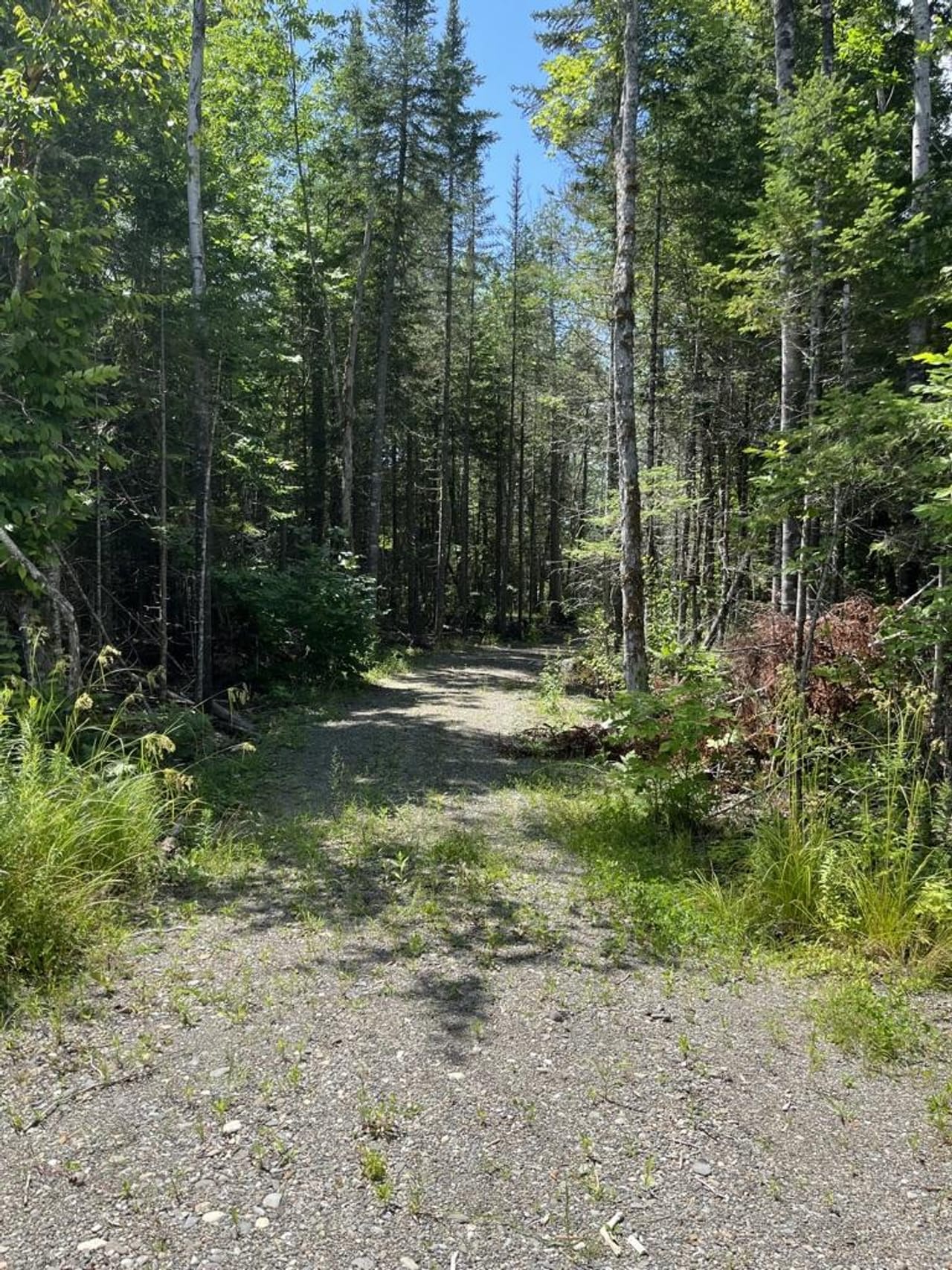 Listing Image 50