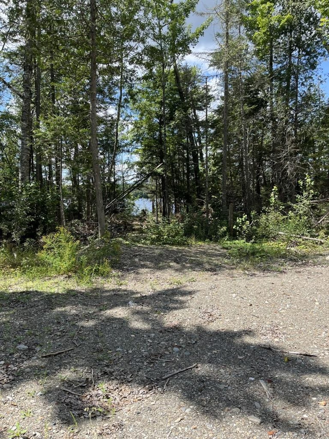 Listing Image 53