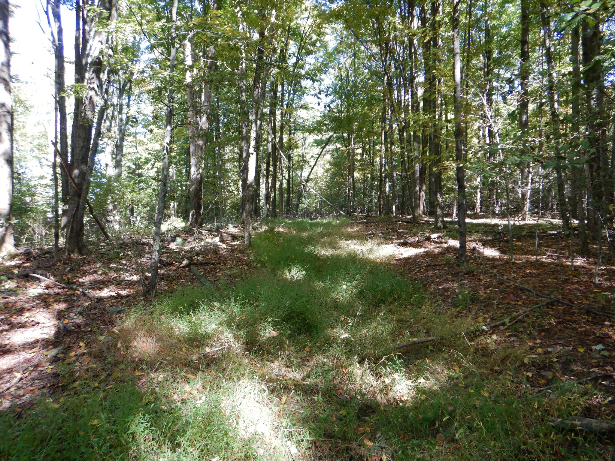 Listing Image 18