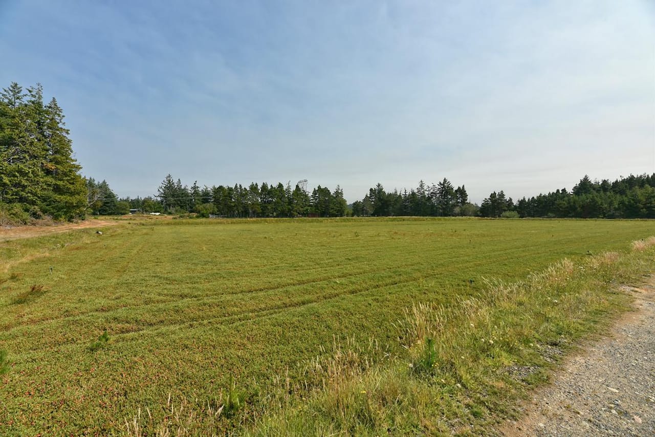 Listing Image 27
