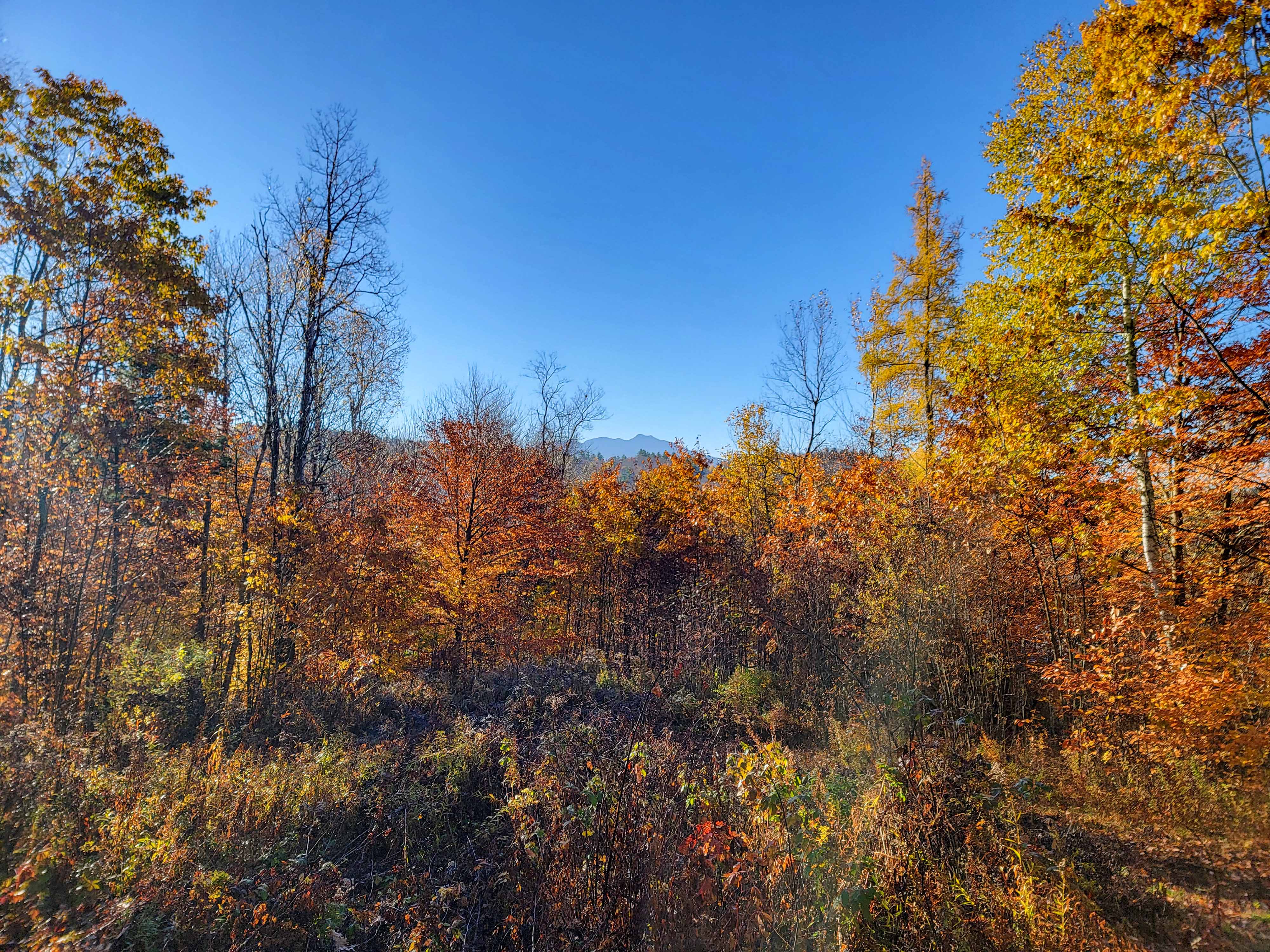 140 Hemlock Hill - Cambridge