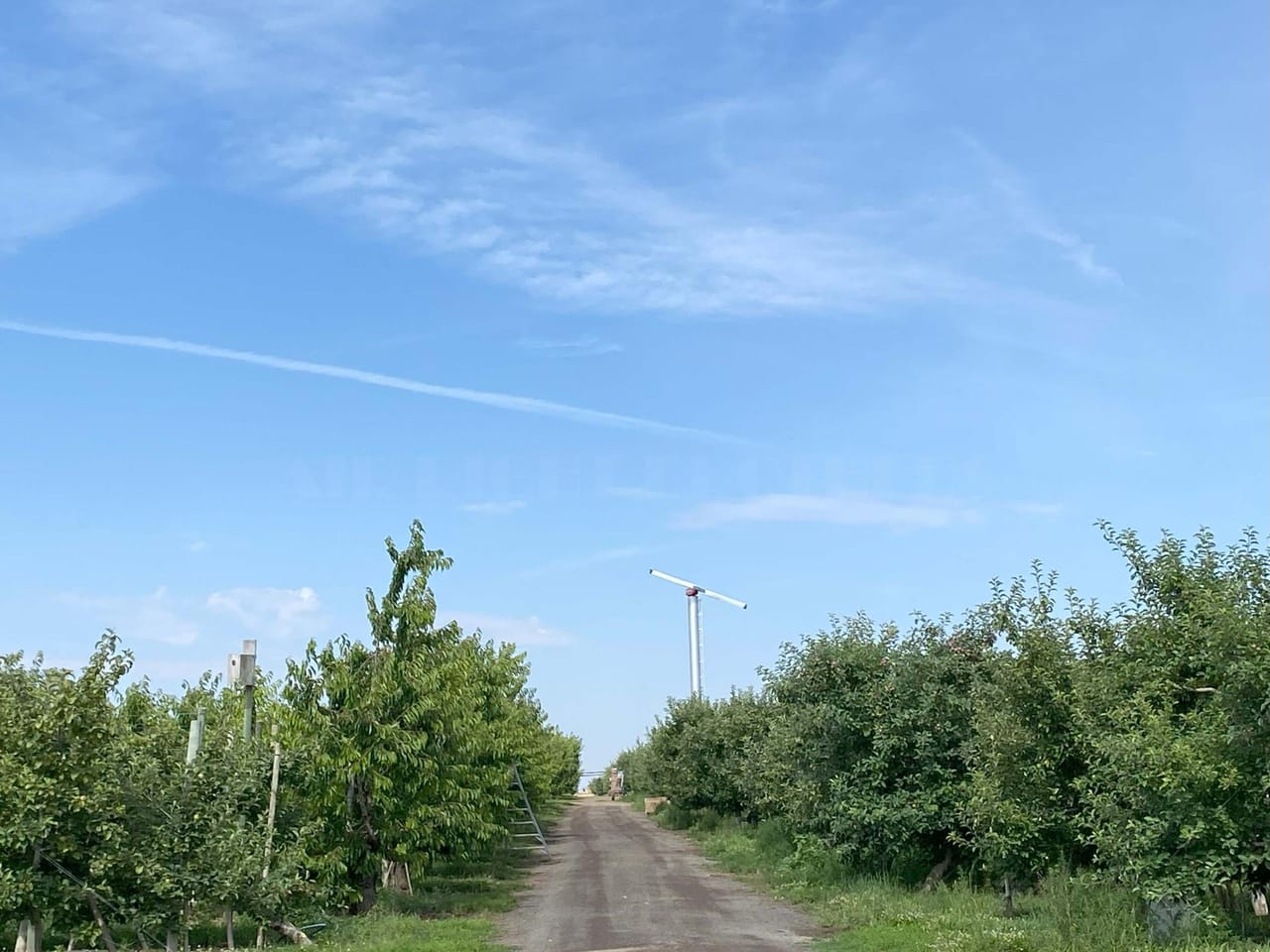 Listing Image 73