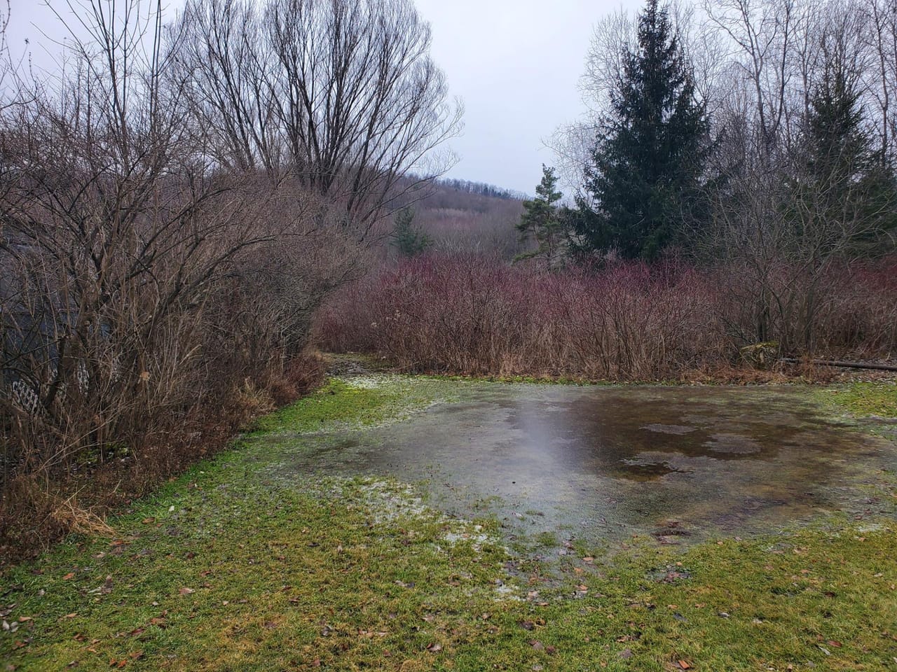 Listing Image 25