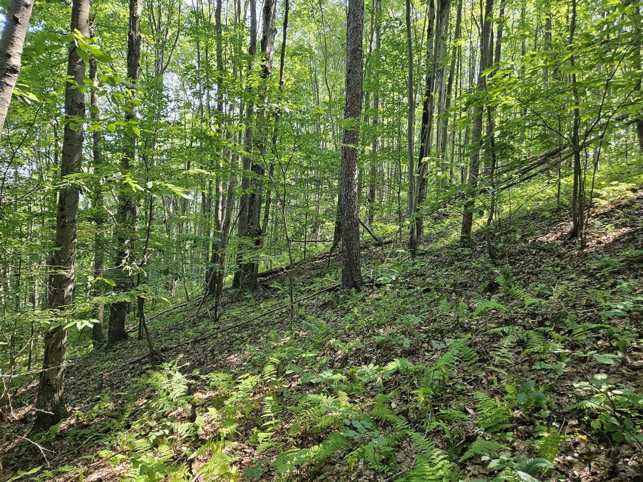 Listing Image 28