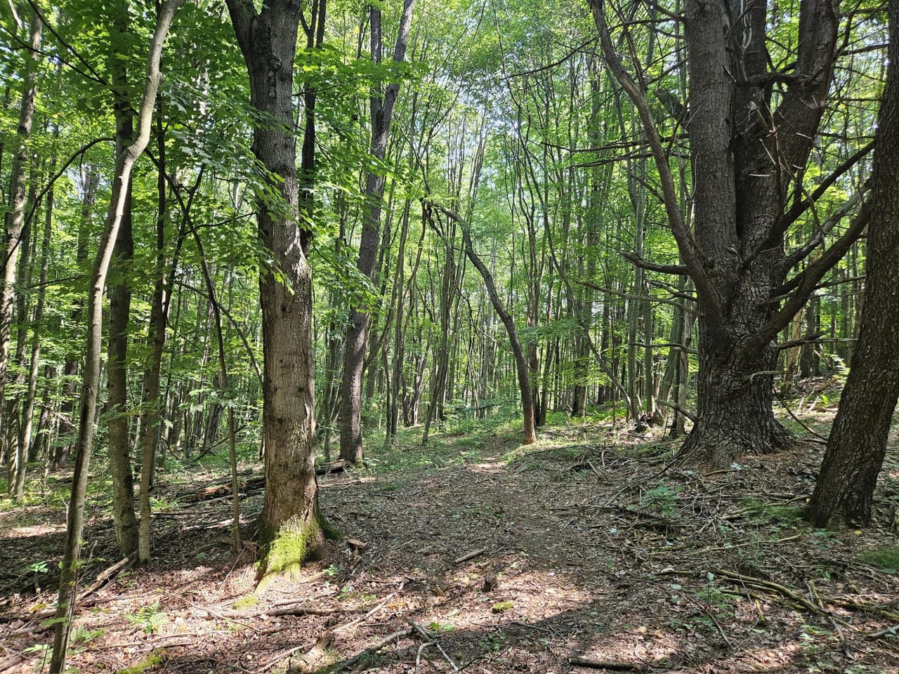 Listing Image 31