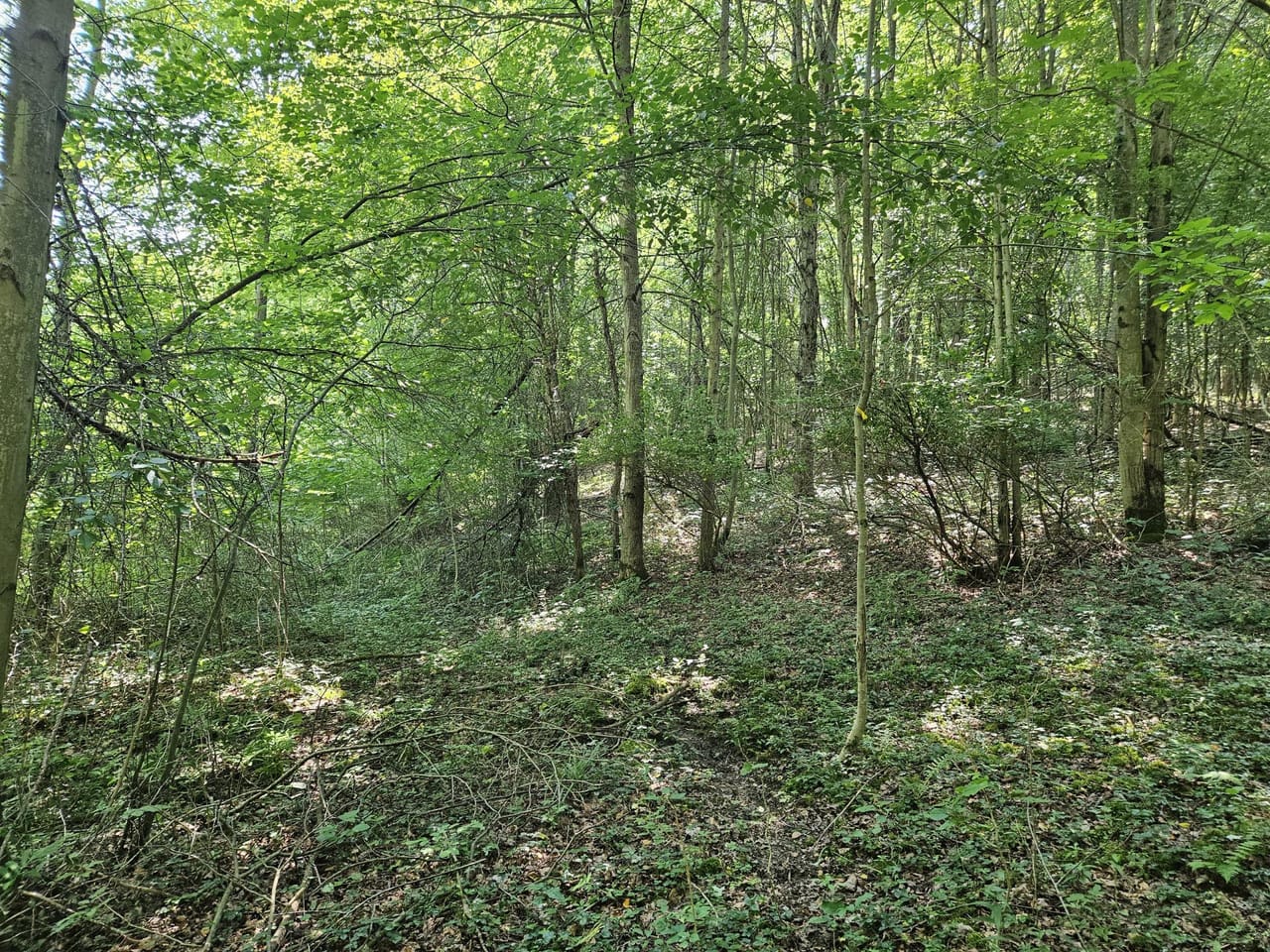 Listing Image 33