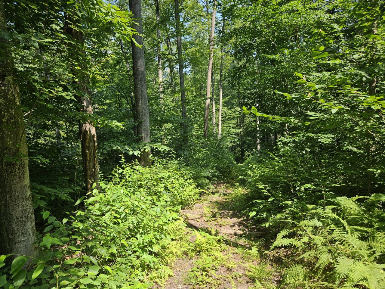 Listing Image 16