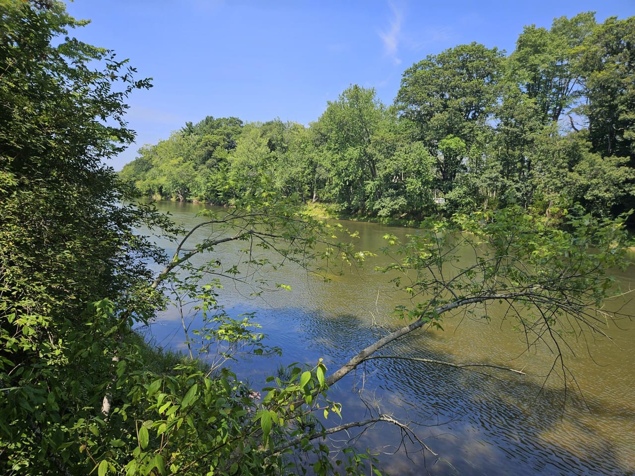 Listing Image 17