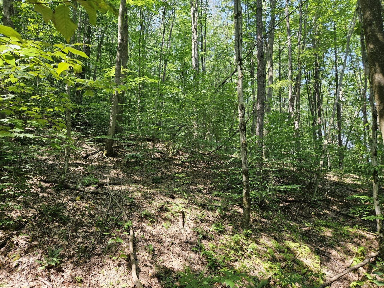 Listing Image 18