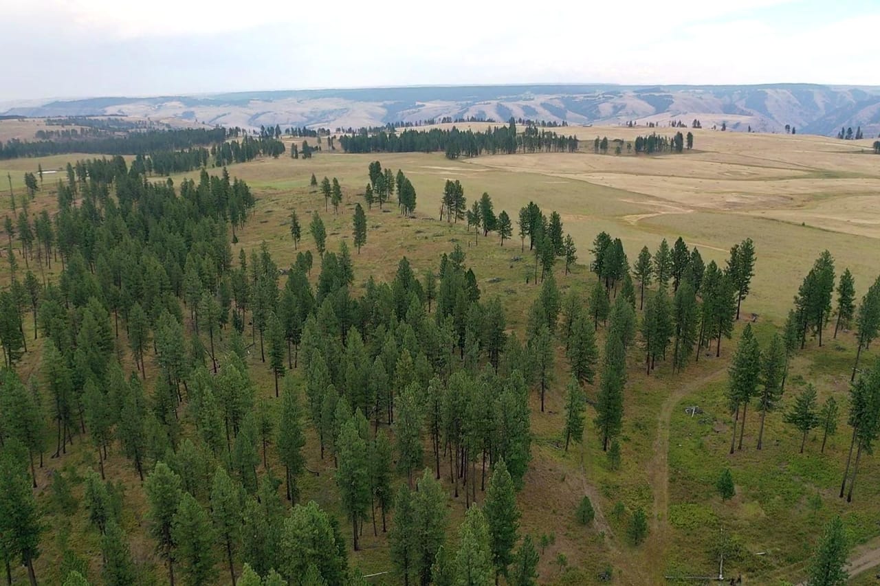 Listing Image 13