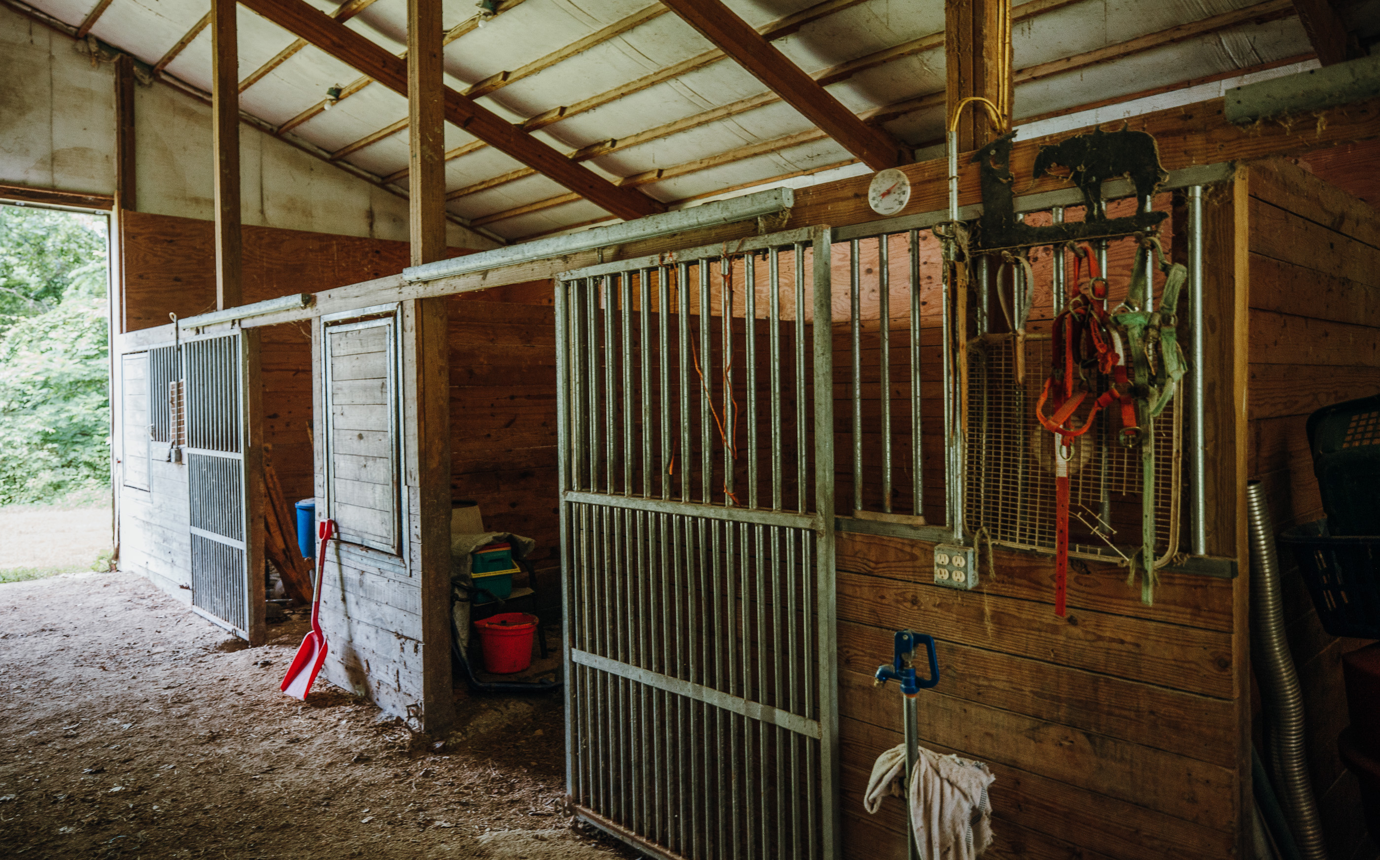 Chateau Creek Farm