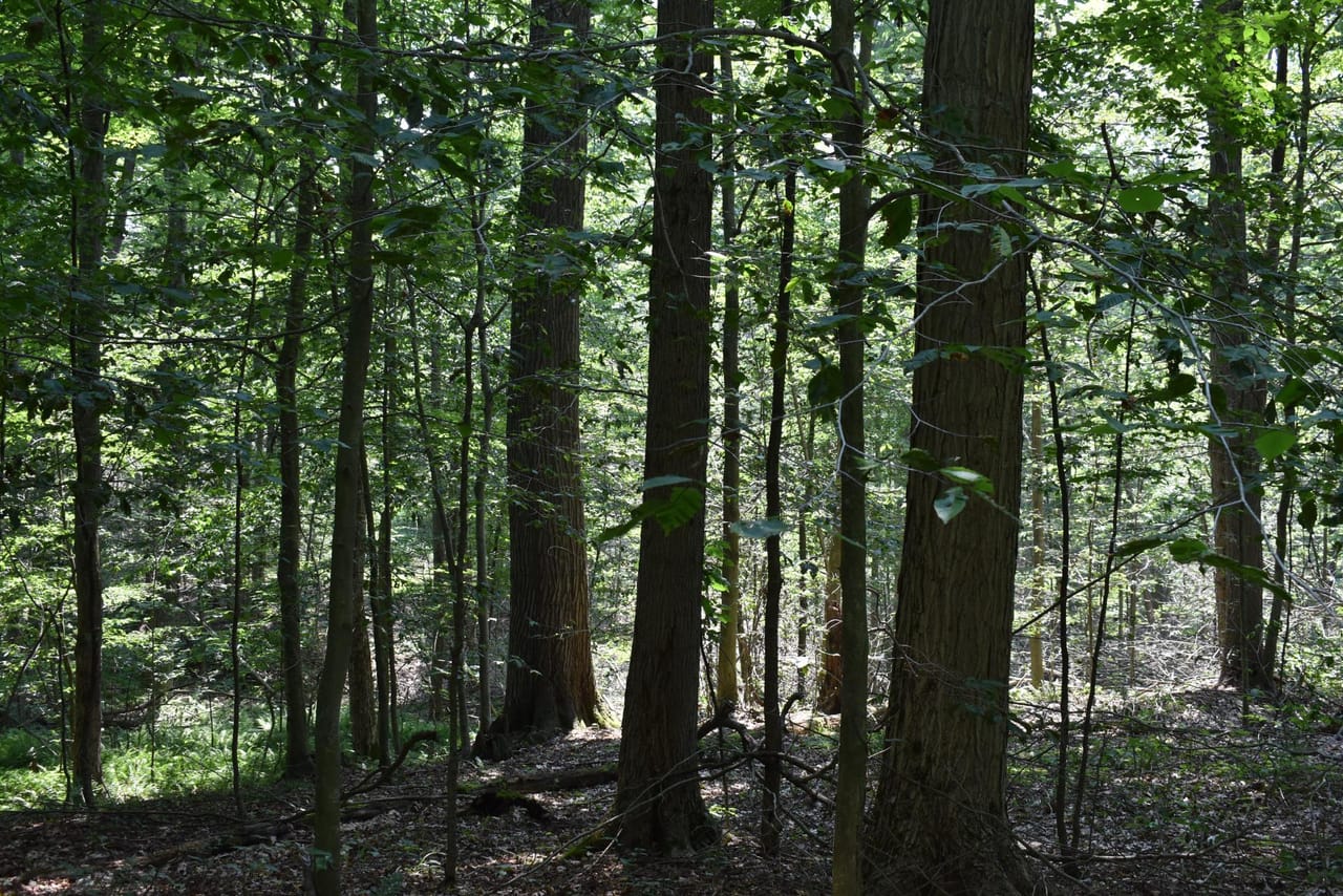 Listing Image 32