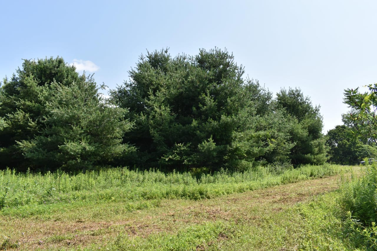 Listing Image 66