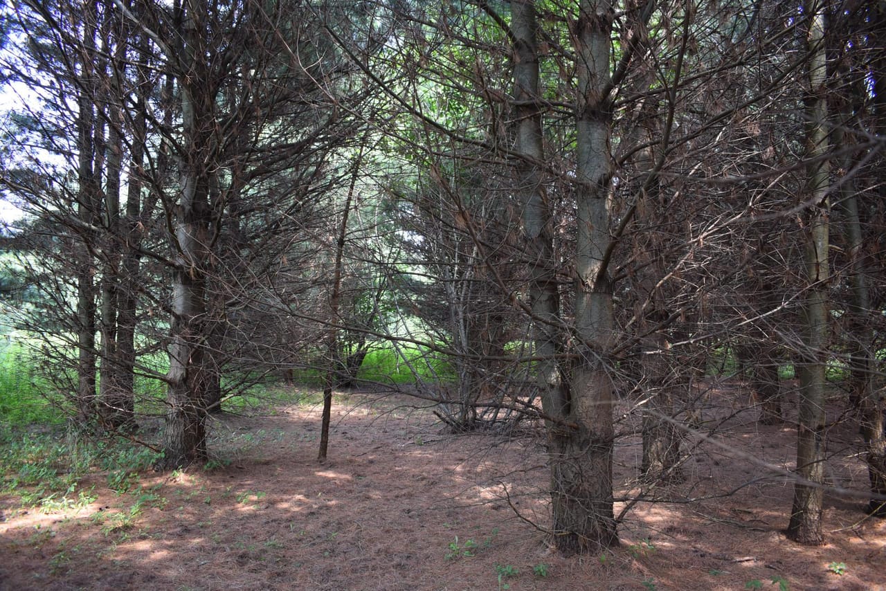 Listing Image 5