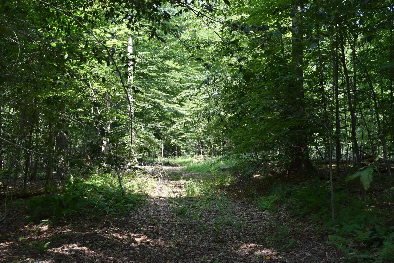 Listing Image 55