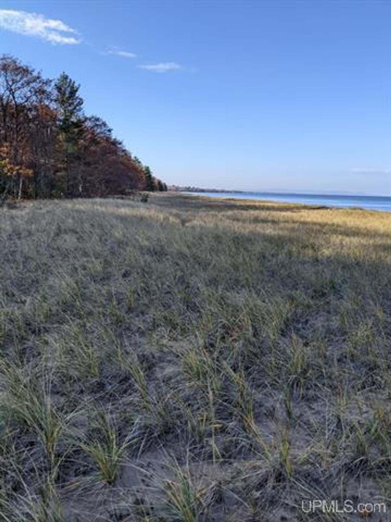 Listing Image 74