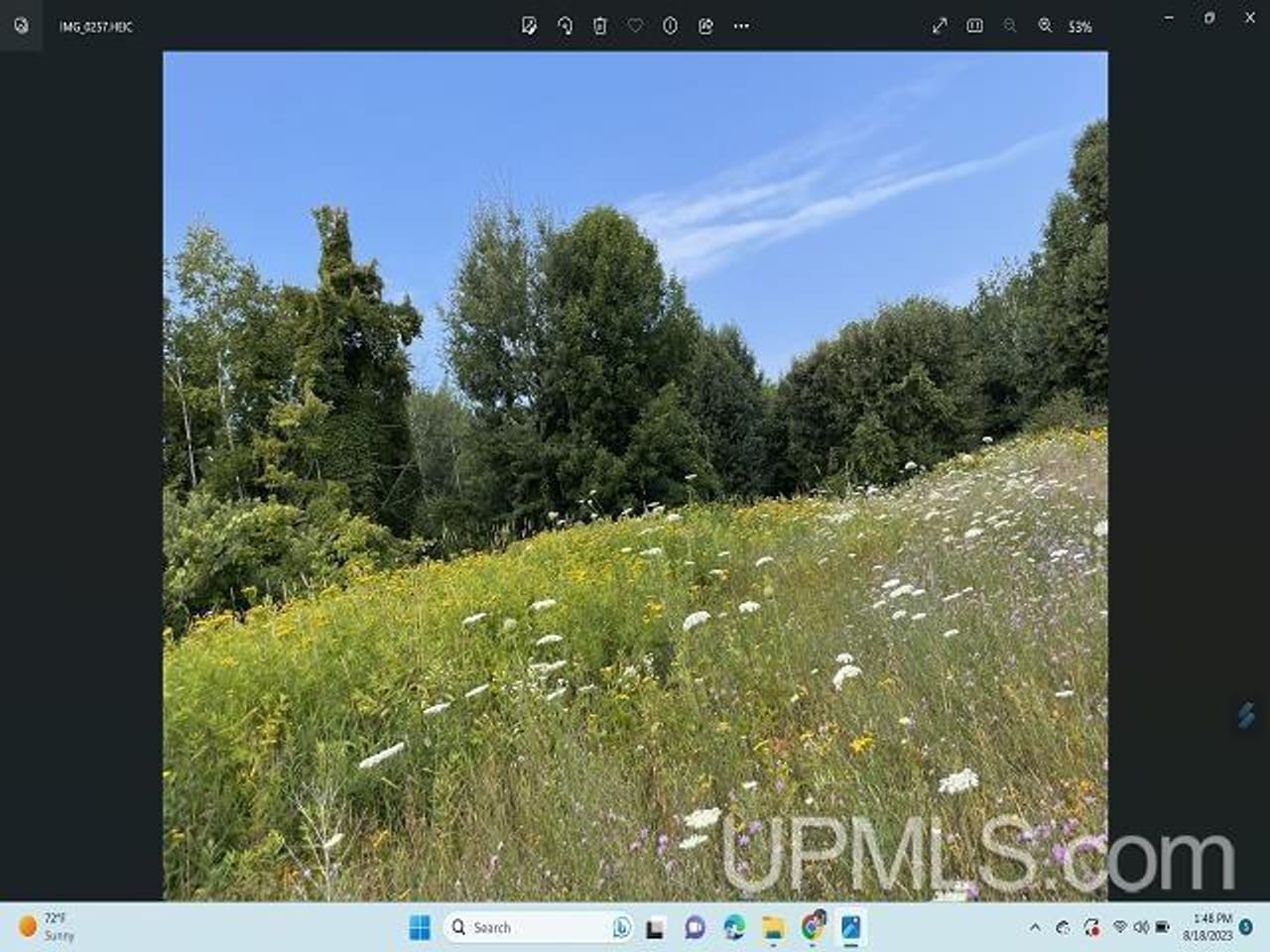 Listing Image 38