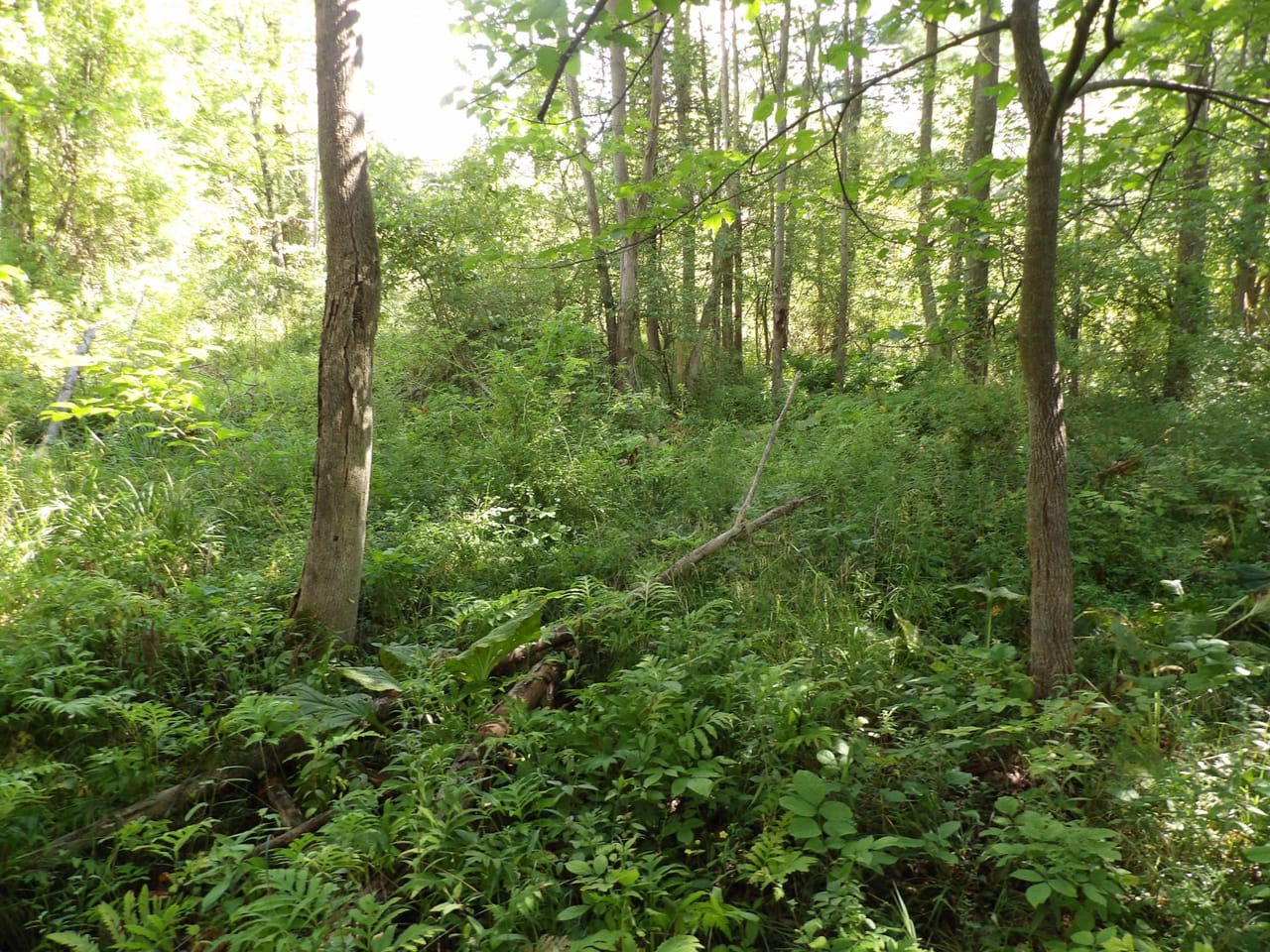 Listing Image 3