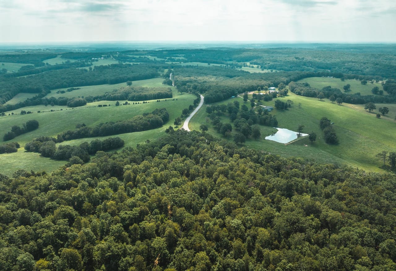 Listing Image 13
