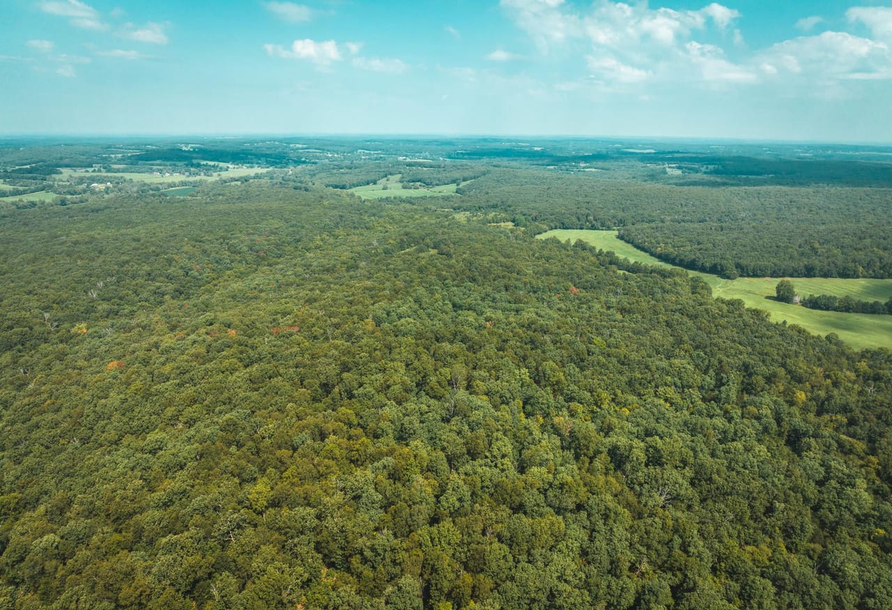 Listing Image 18
