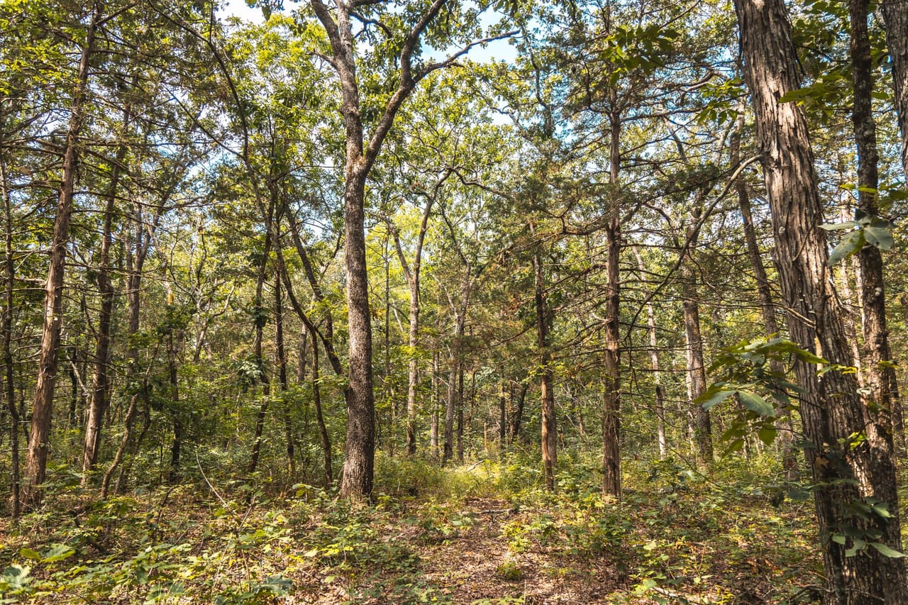 Listing Image 19