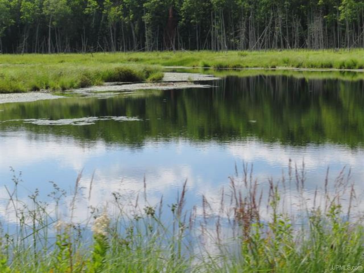 Listing Image 81