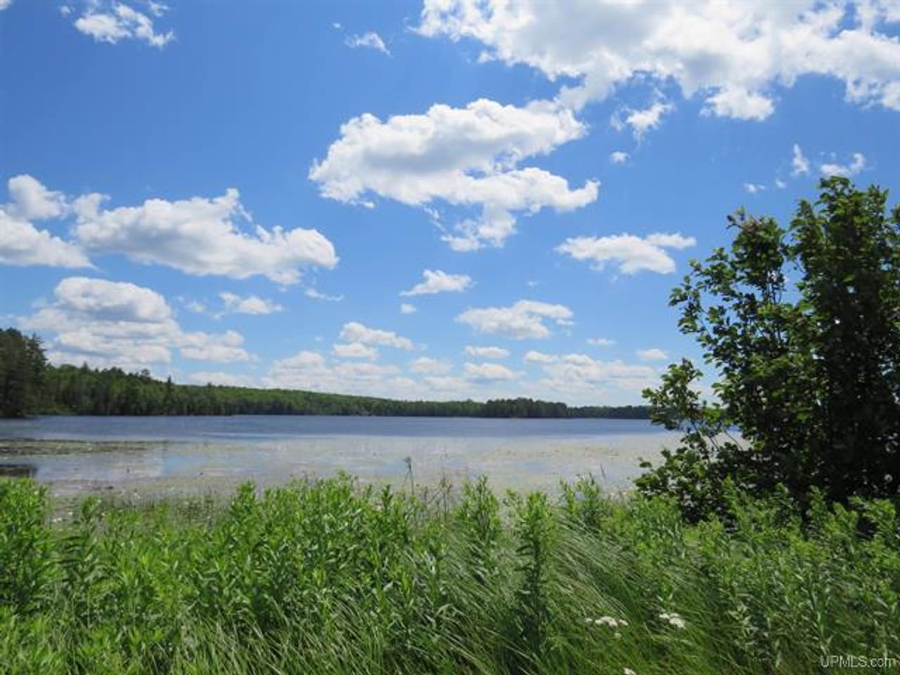 Listing Image 84